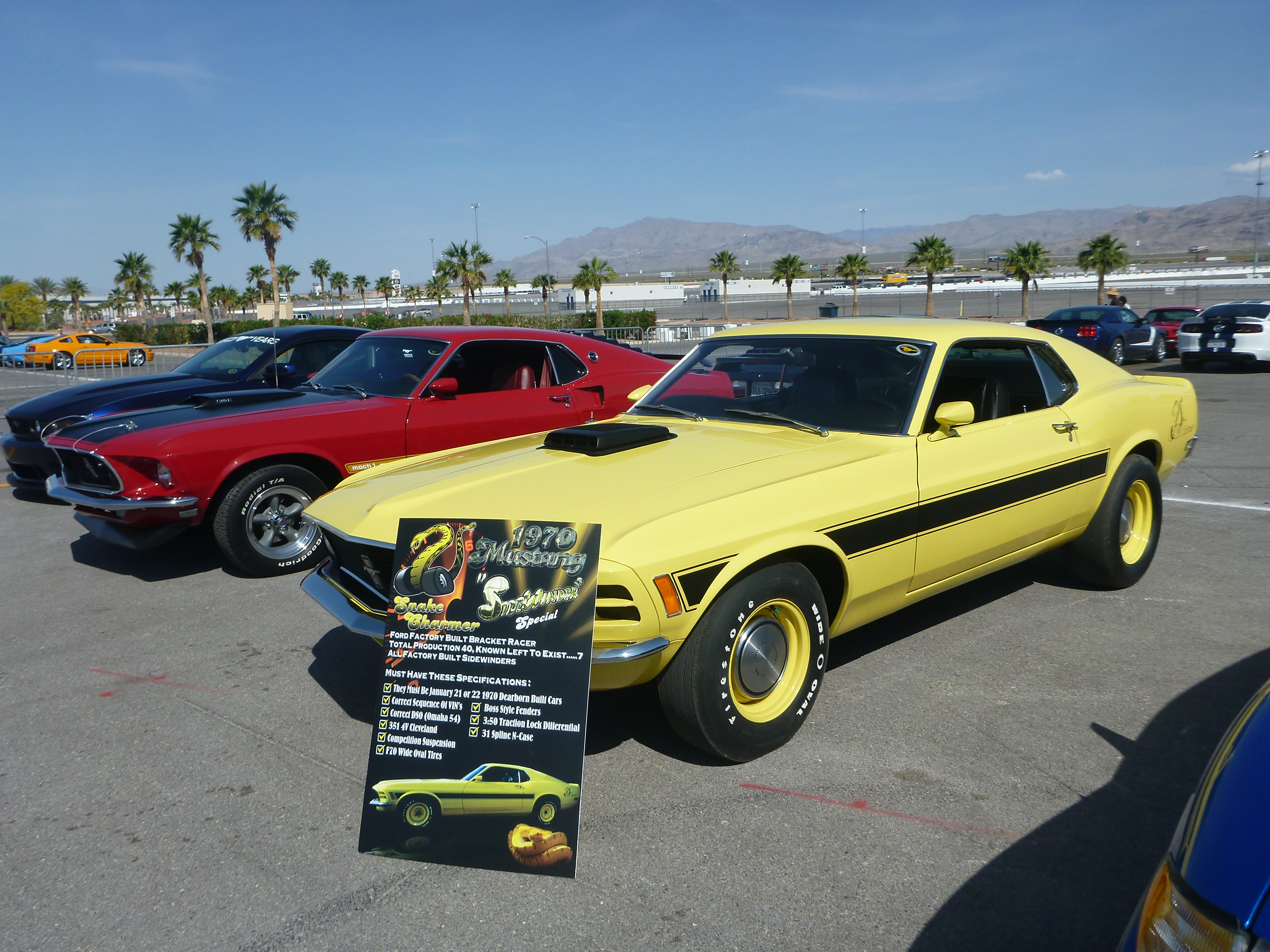 Mustang-50th-Las-Vegas-053