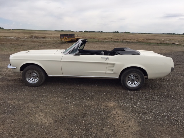 1967 Mustang Convertible NO RESERVE