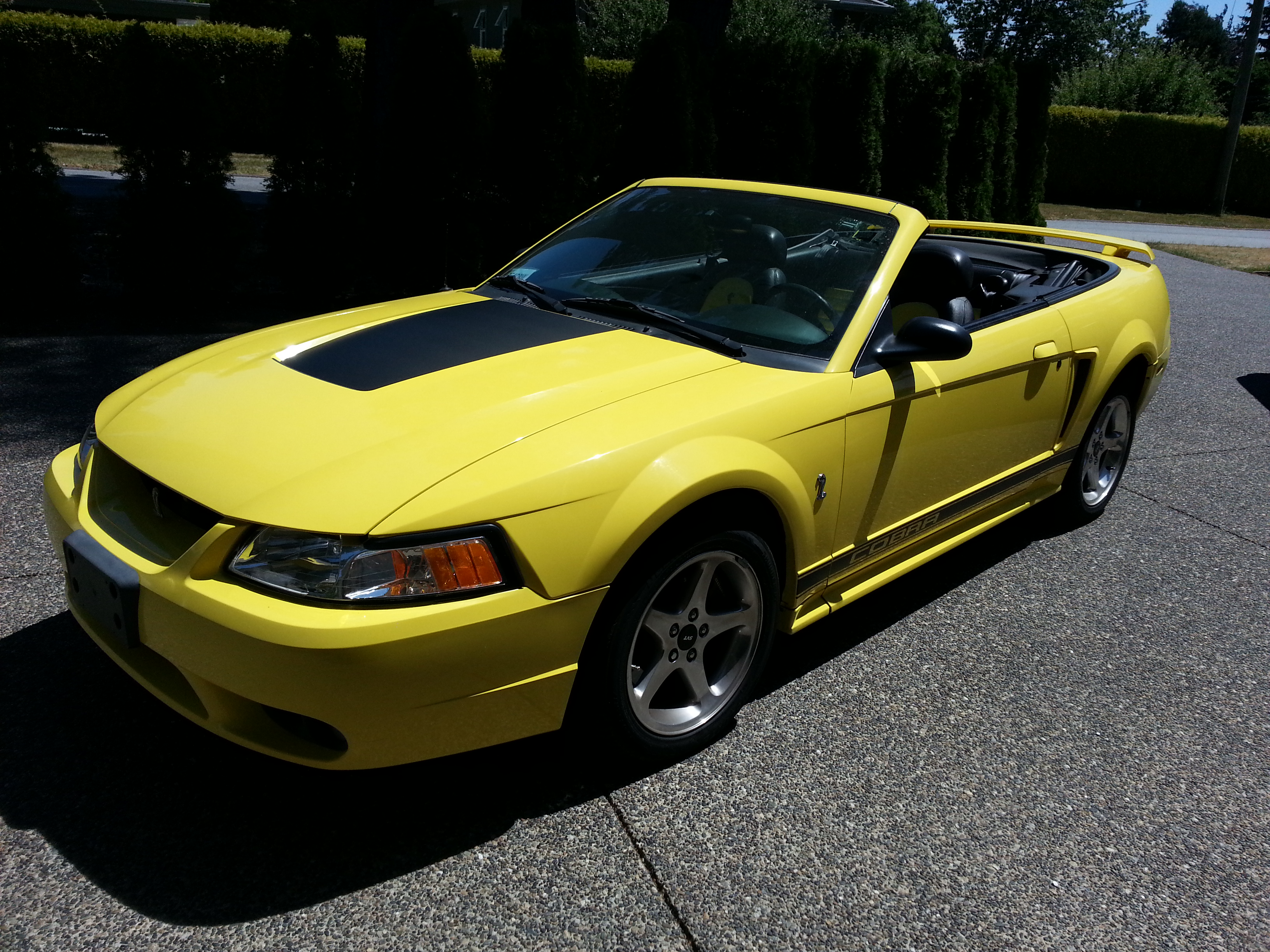 2001 Mustang Cobra Convertible