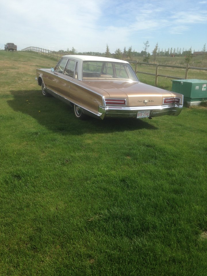 13406895_1189364644429976_7870356511248944271_n