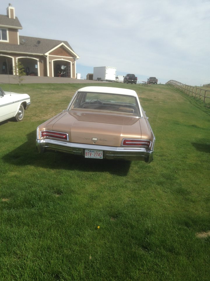 13445752_1189364717763302_8521592808521785821_n