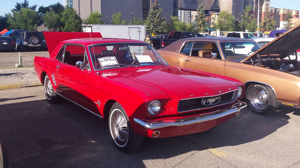 13592605_10153484736787693_7717030629665746572_n