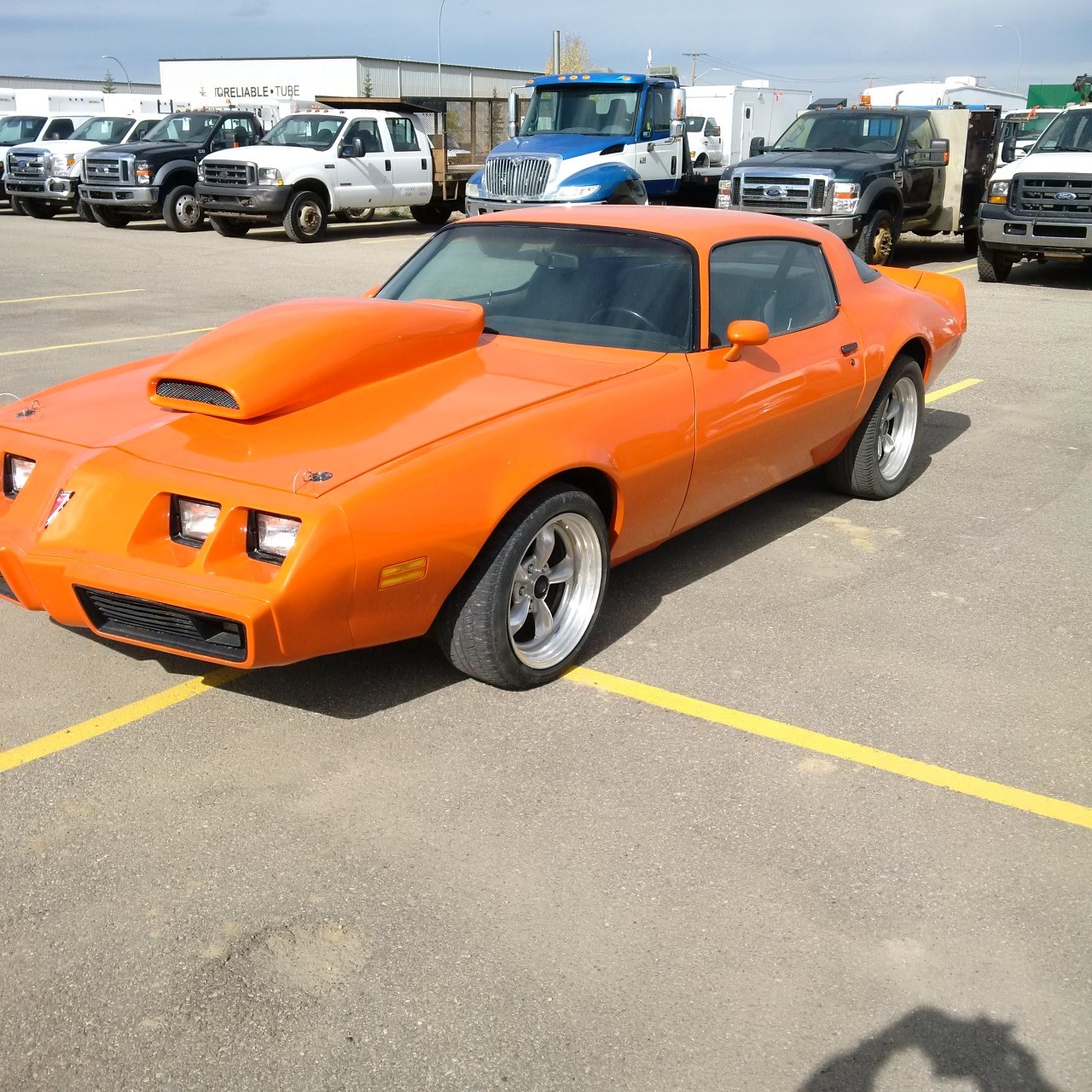 Firebird-D.-Side