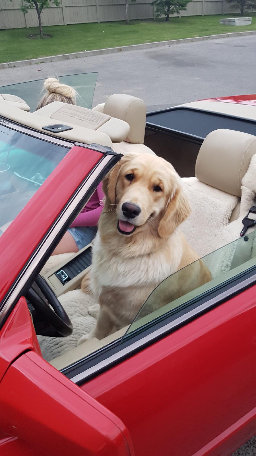 Resized_20170604_210657