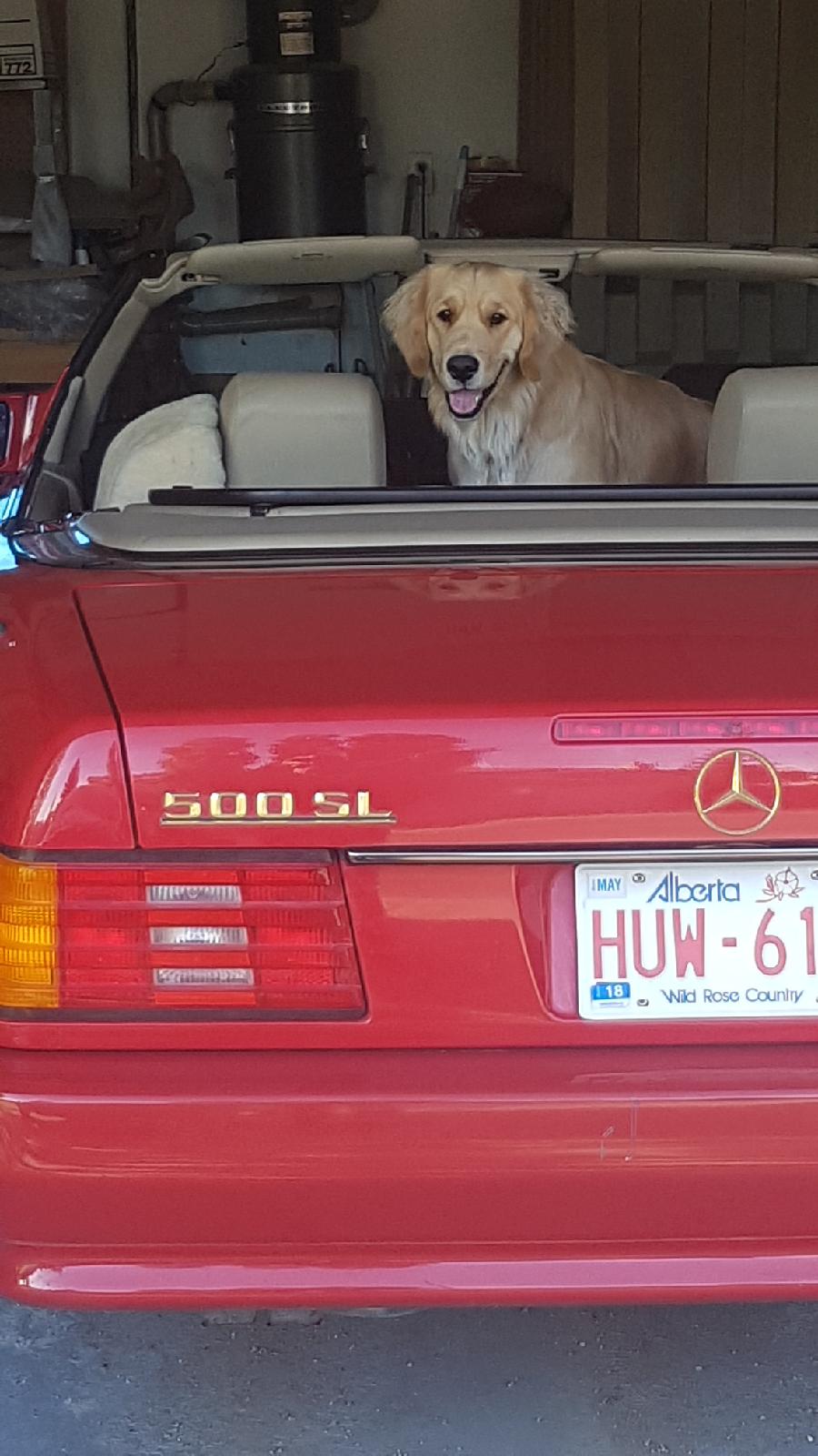 Resized_20170910_1739231