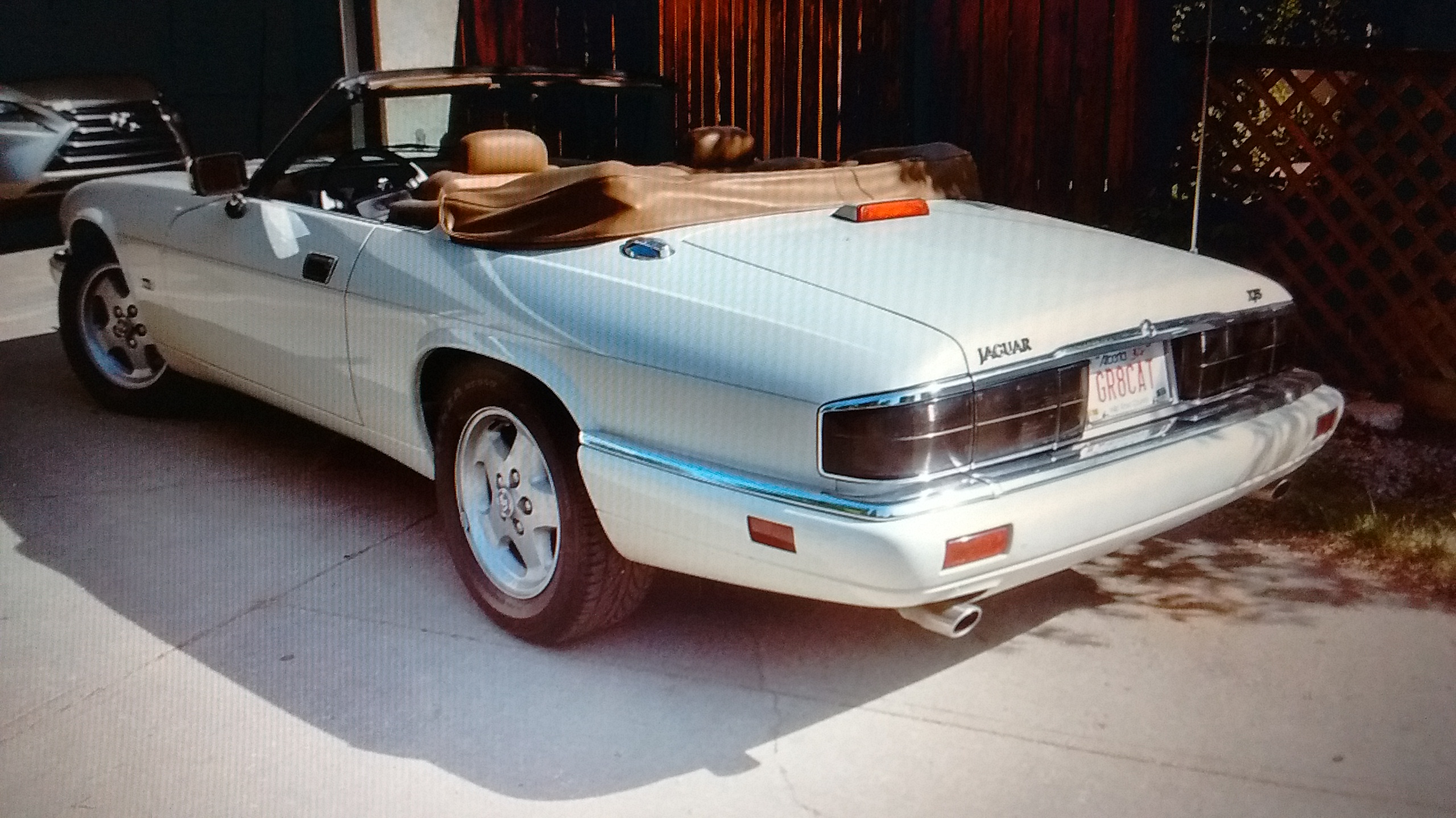 IMG_20190211_205924426