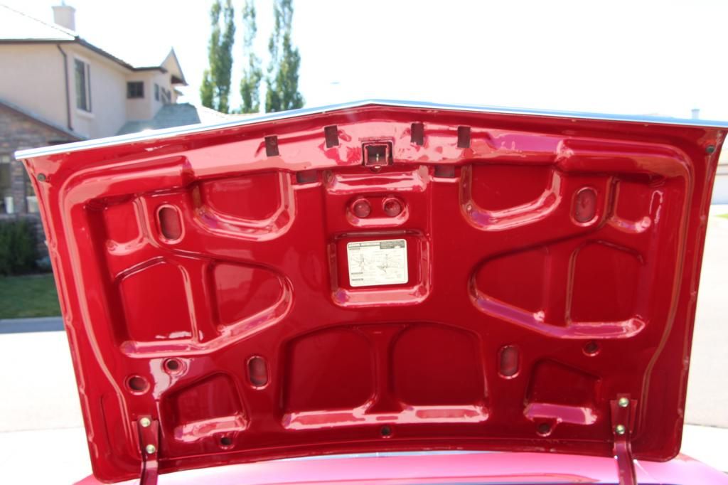 IMG_1267_zps7d955c87