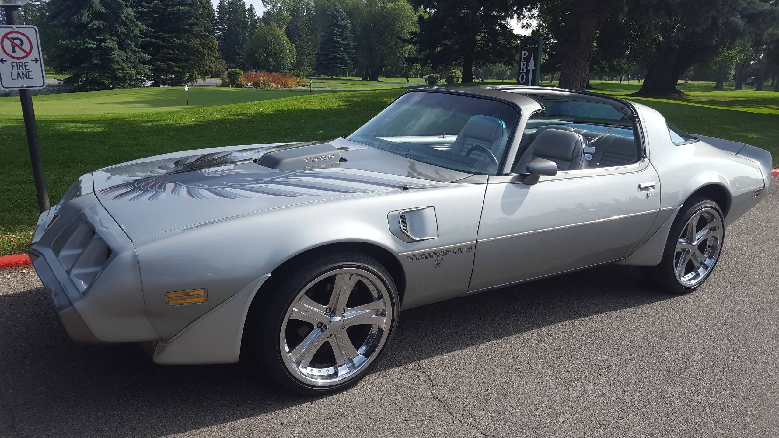 1979 Pontiac Trans Am 10th Anniversary