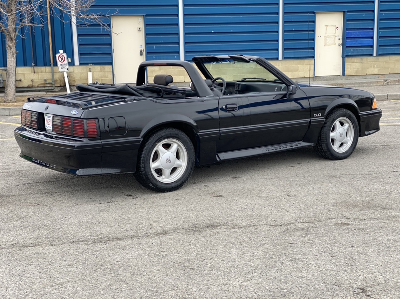 82083554-62AC-4C68-B392-6BCF500C246C