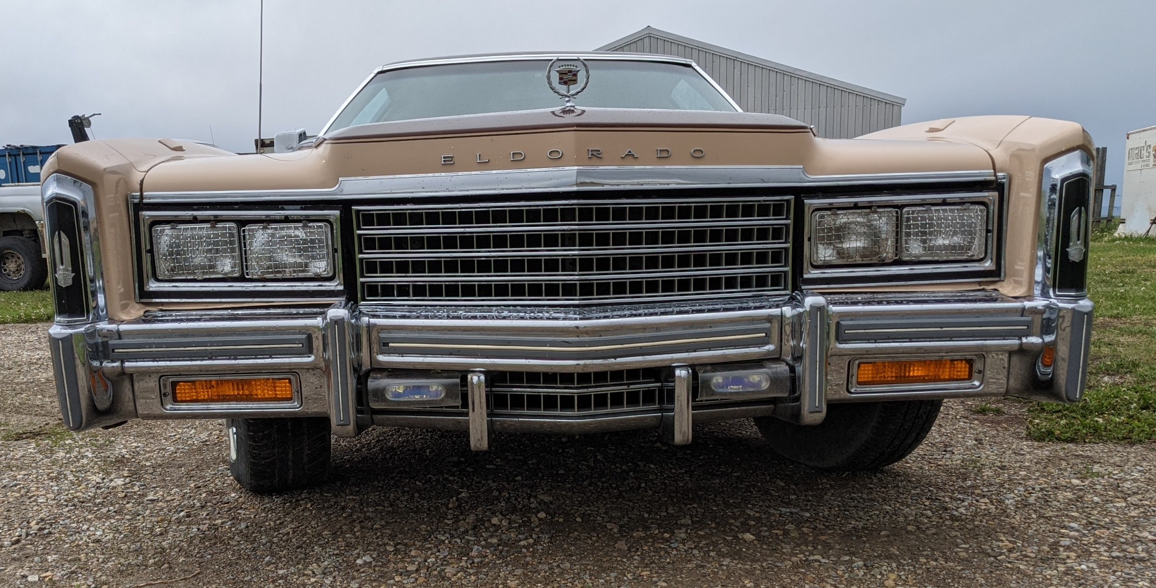 PXL_20210610_144843580_2