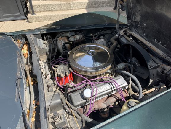 Photo 2021-05-06, 12 58 28 PM