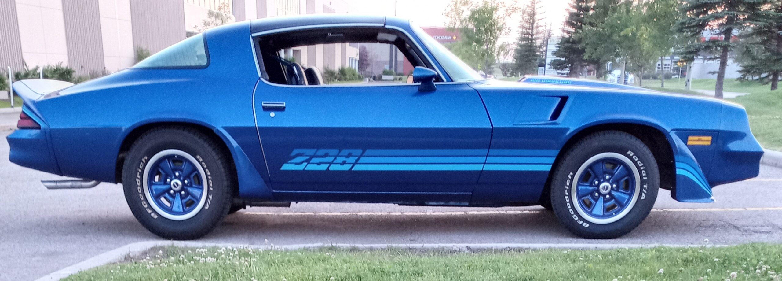 1981 Chevrolet Camaro