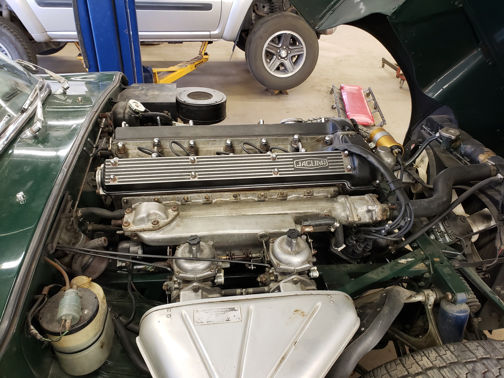 20210803_083255_resized