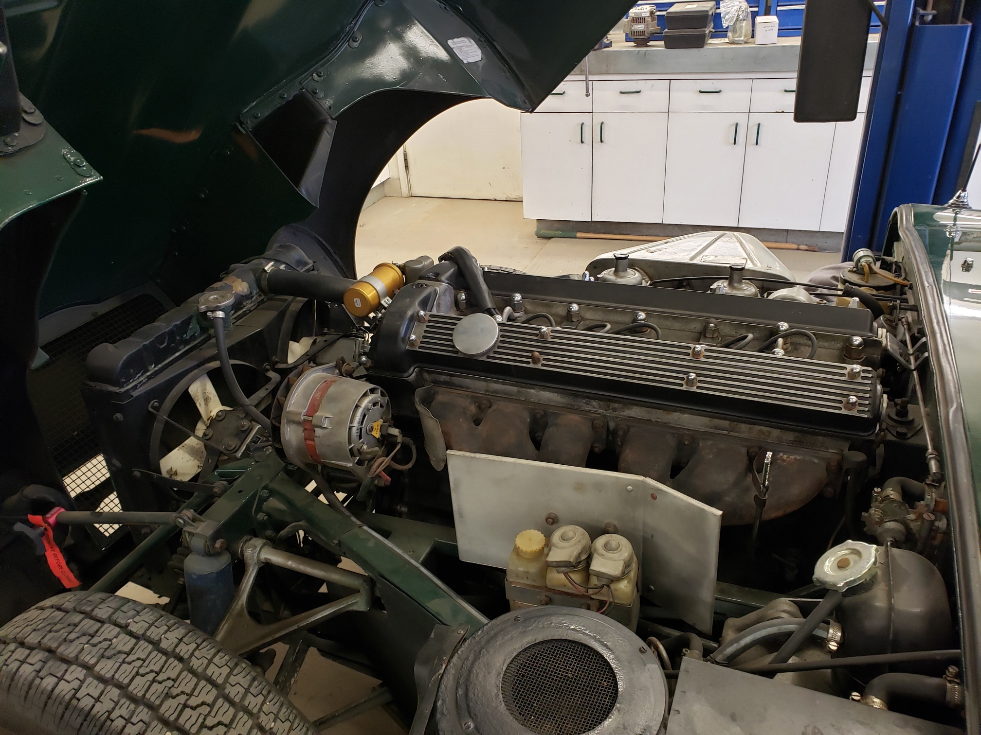 20210803_083304_resized