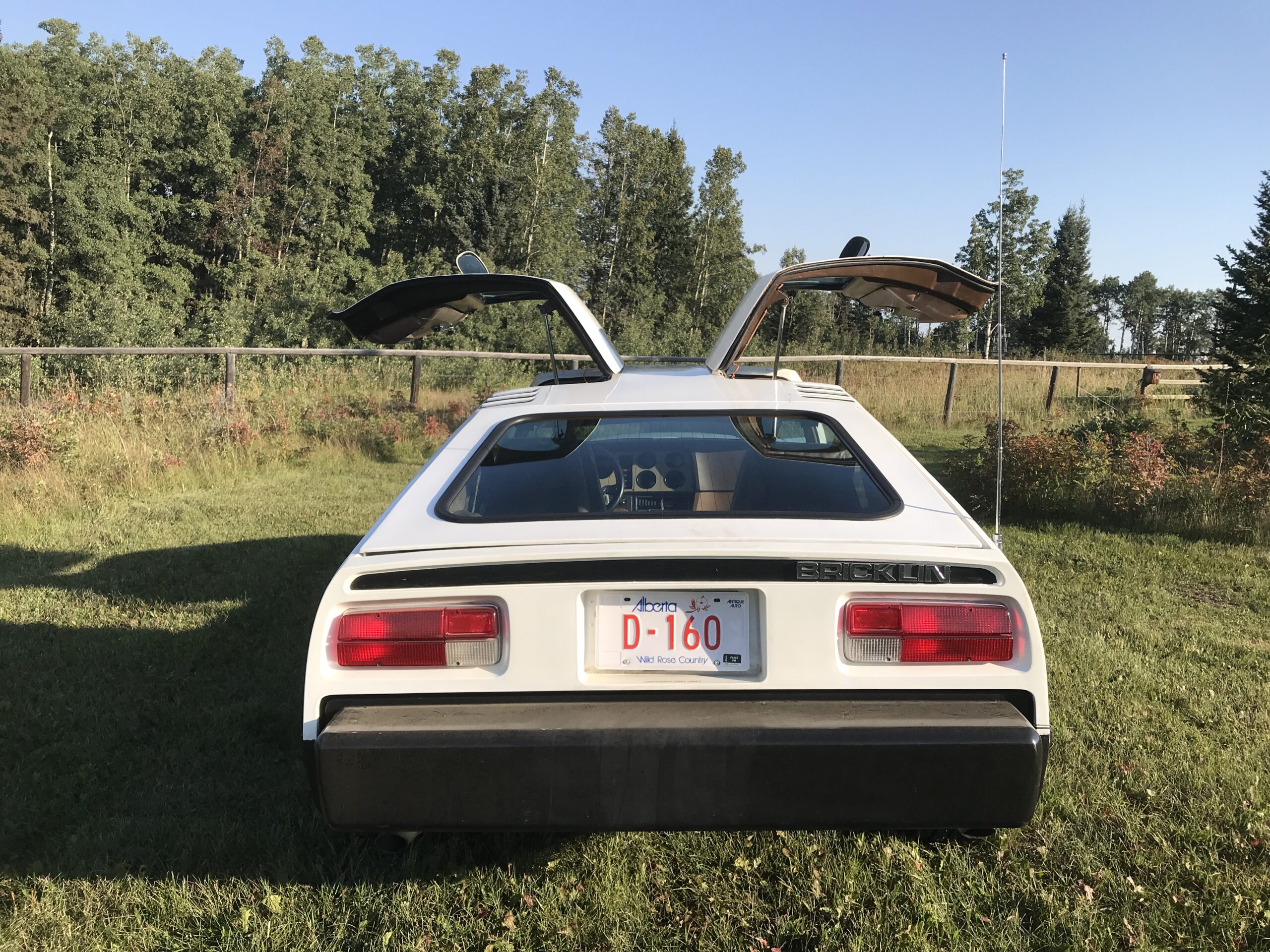 20210831_151516265_iOS