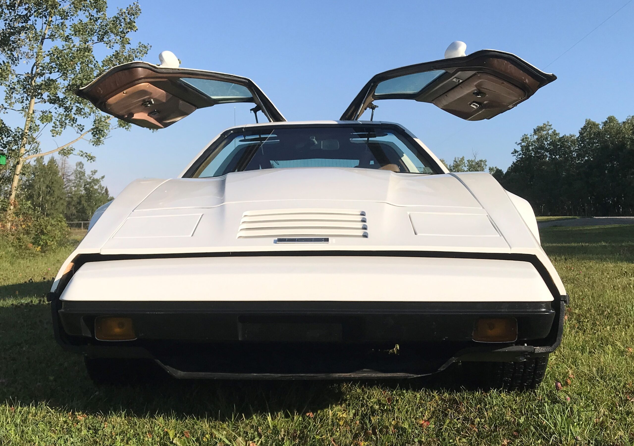 20210831_151922668_iOS