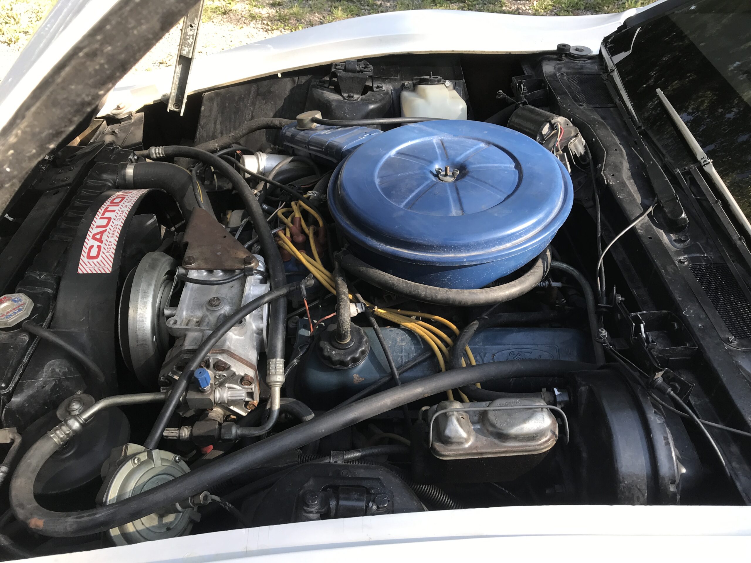 20210831_164338806_iOS