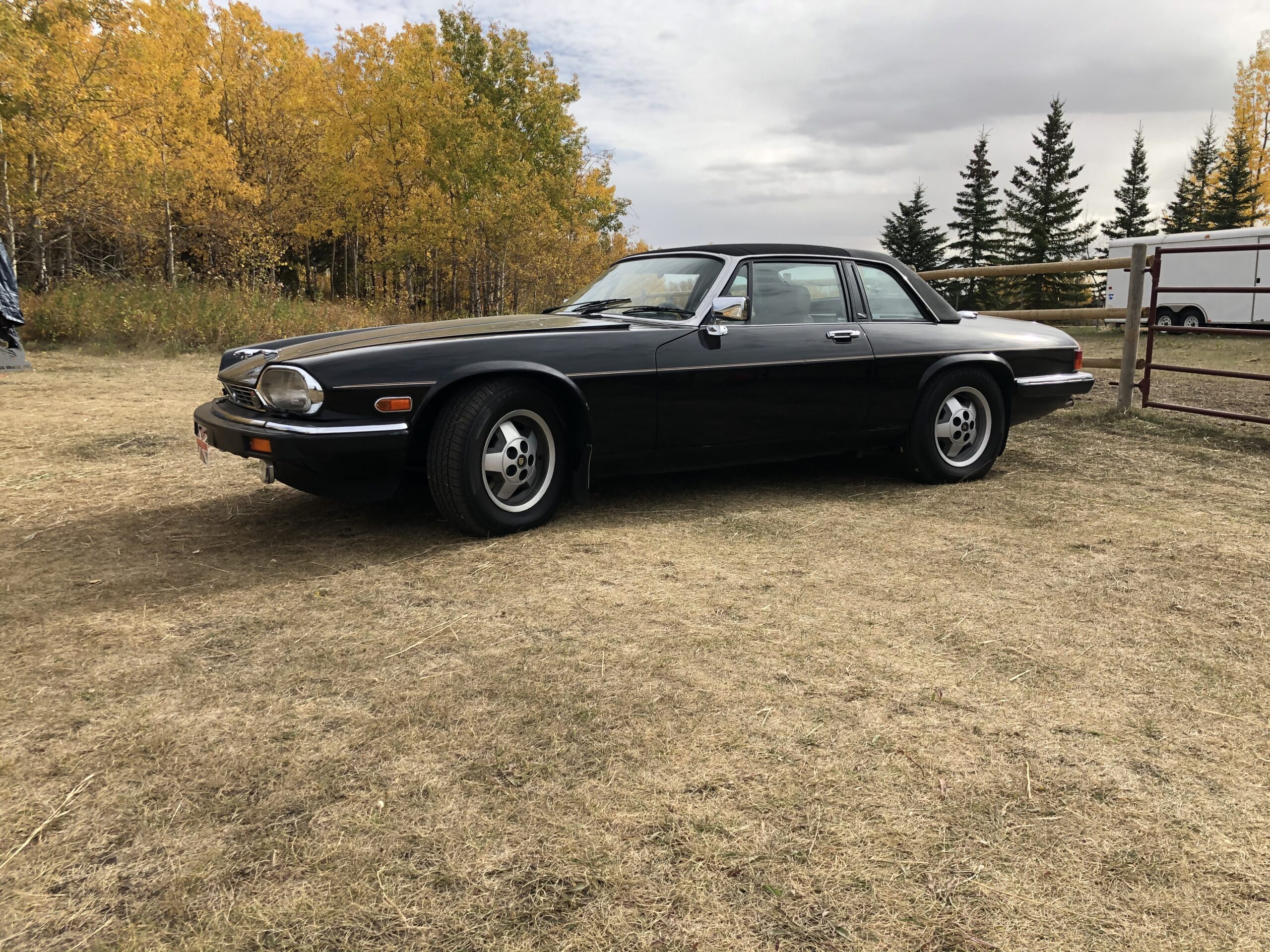 1988 Jaguar XJS C