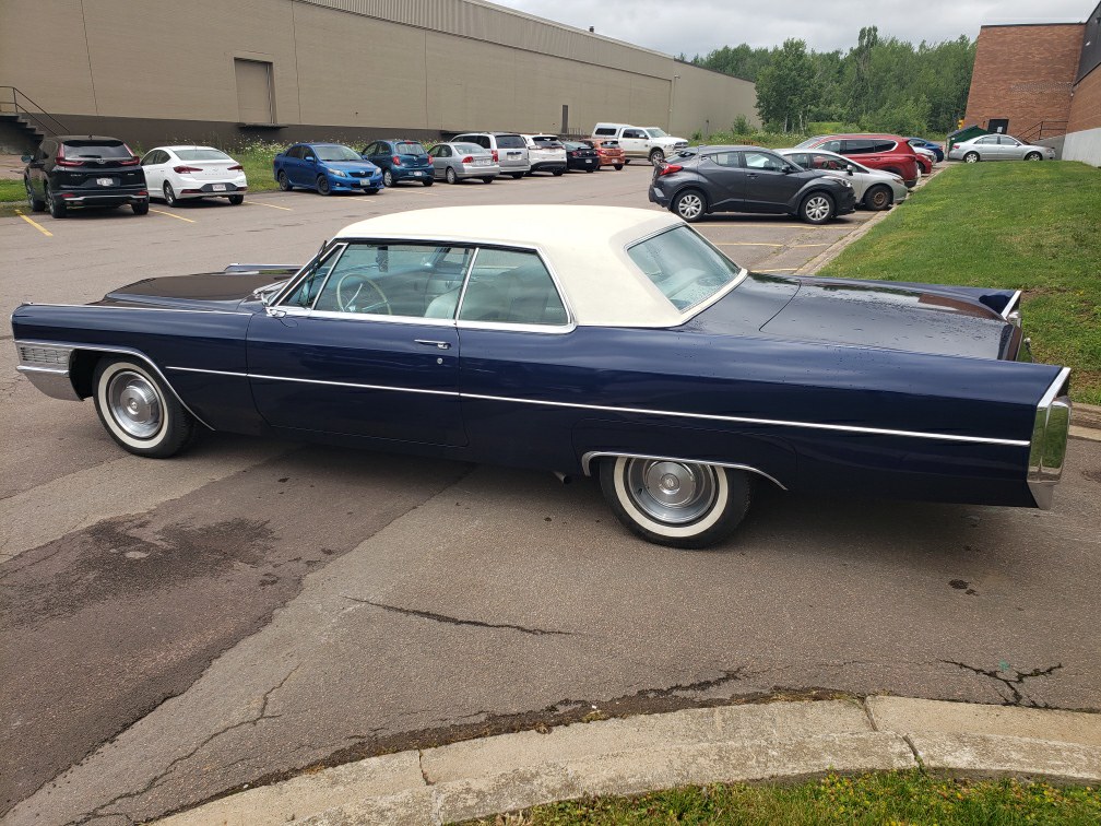 Resized_20210715_1301501