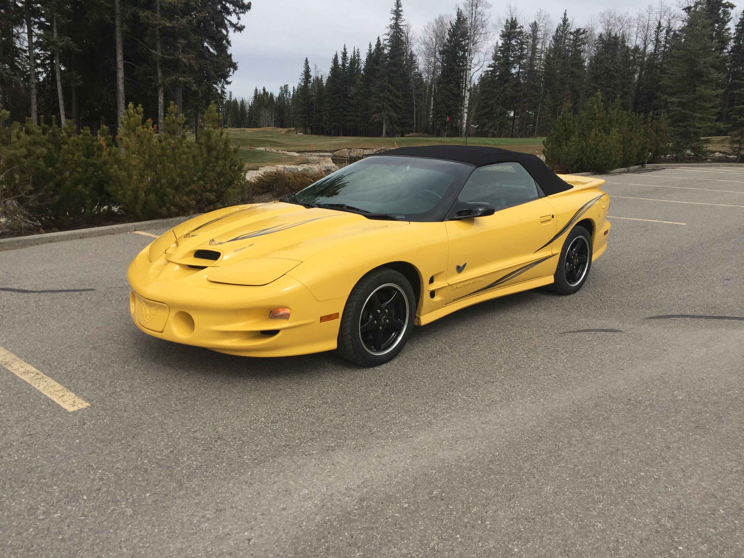 2002 Pontiac Firebird Trans Am