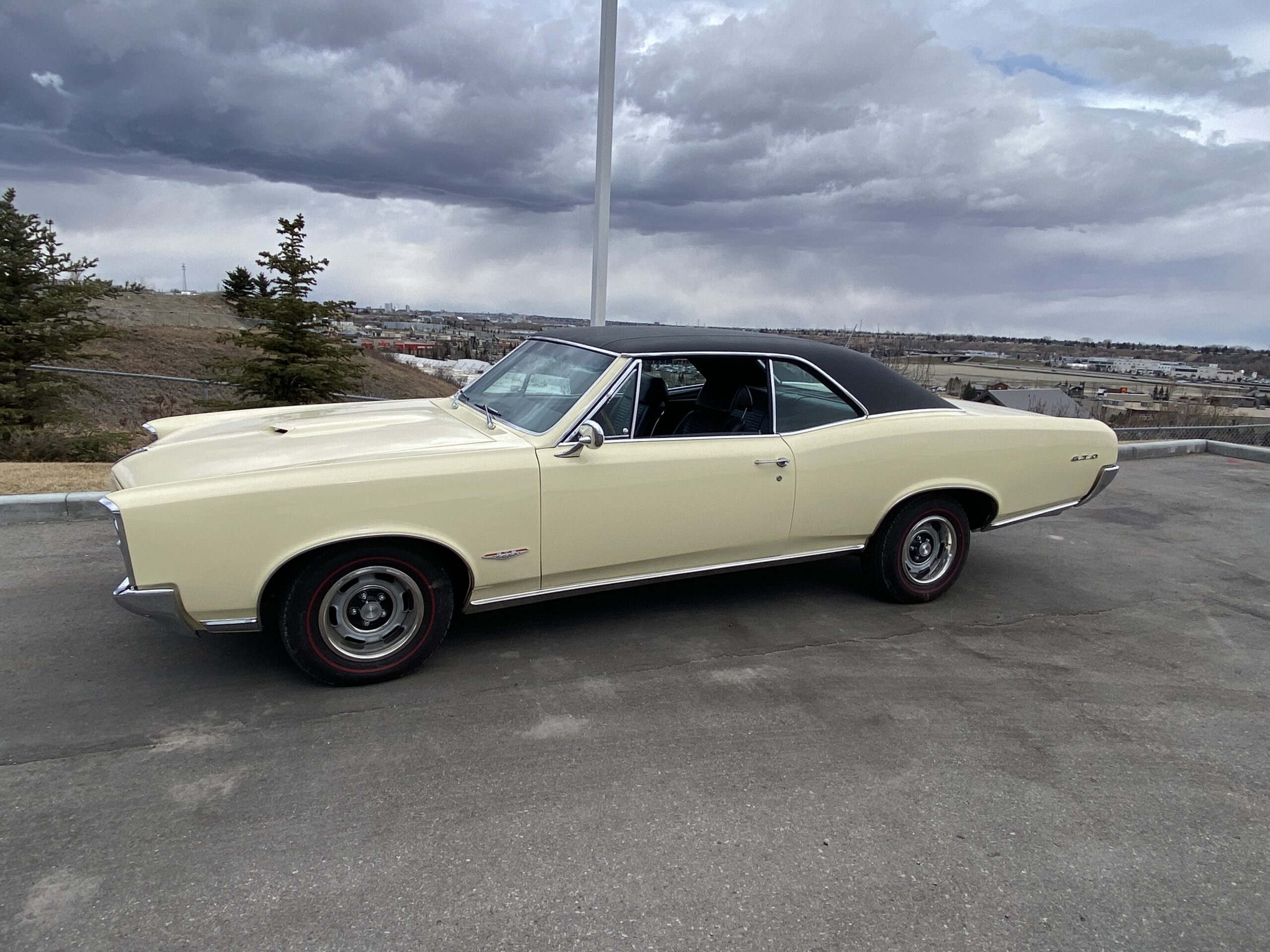 1966 Lemans GTO Clone