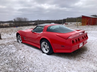 1981 Chevrolet Corvette