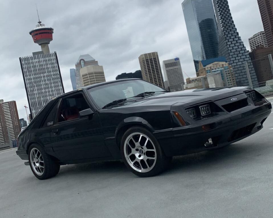 234918294_1456784021341753_6677765063925511660_n-1