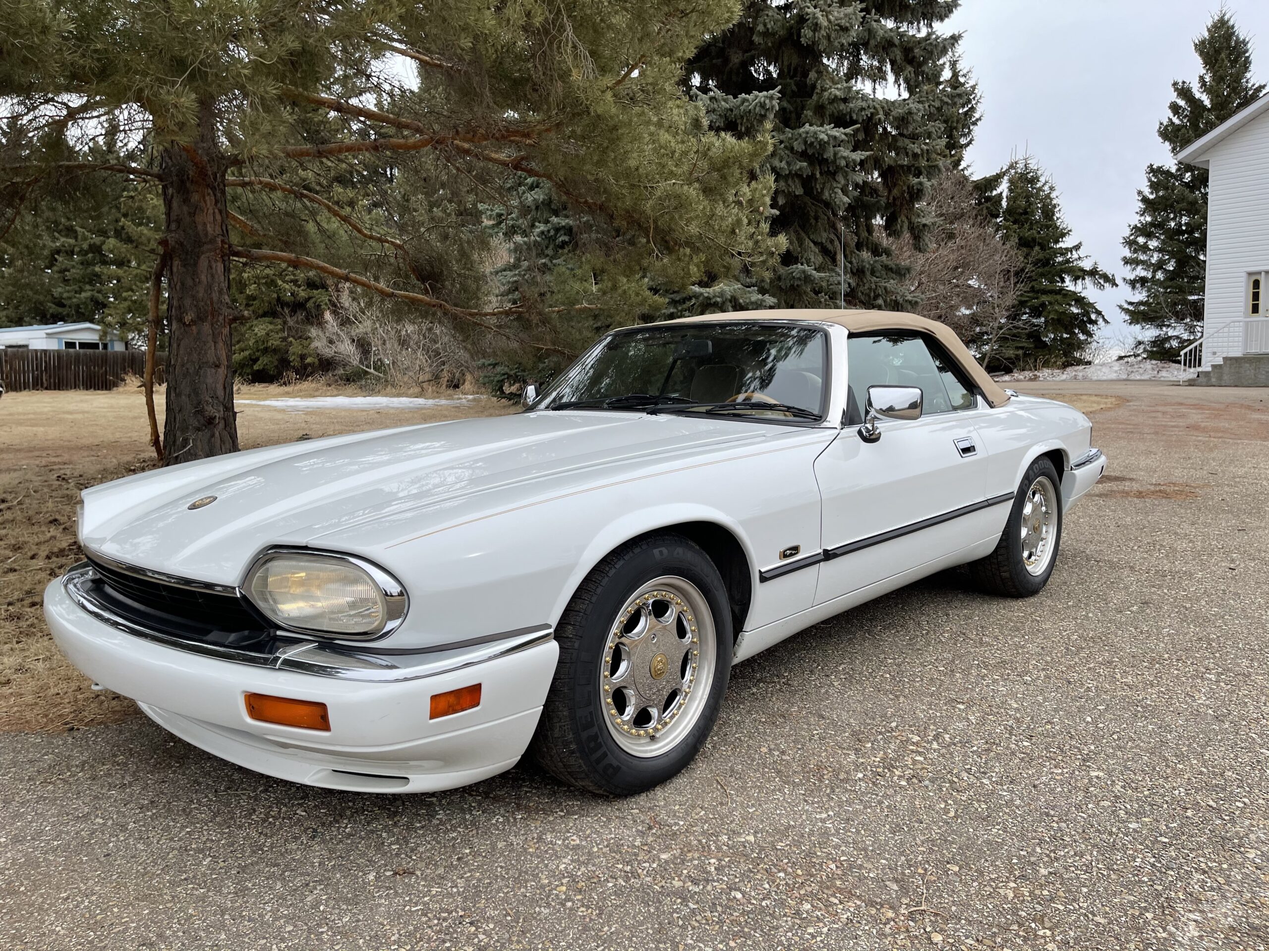 240ejjrPRfG3evBPS8fltg