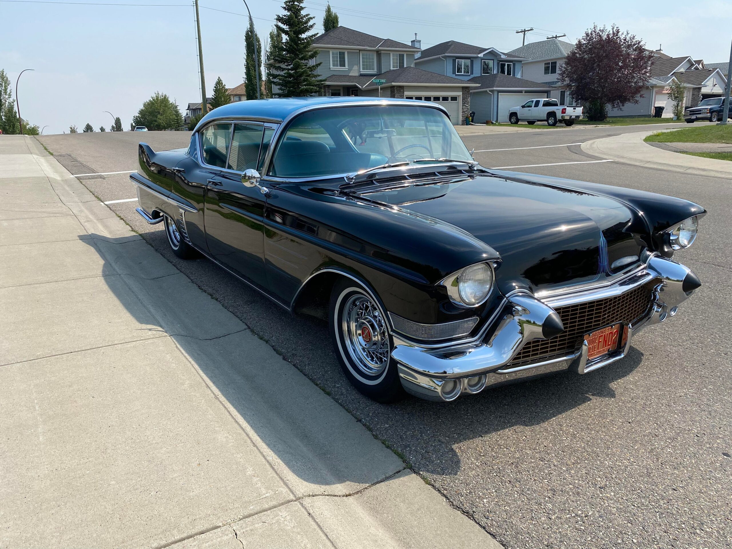 262639275_967028610832160_5874533609192756376_n