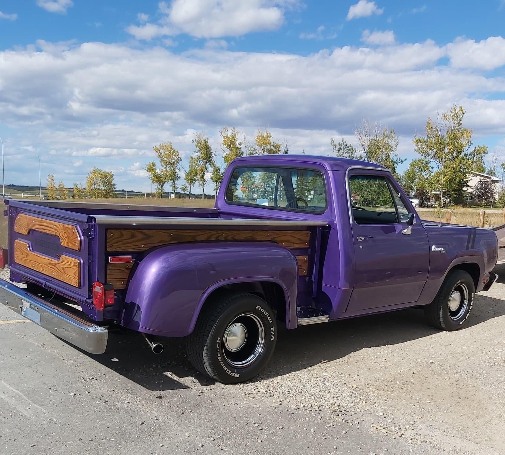 1980 Dodge D150