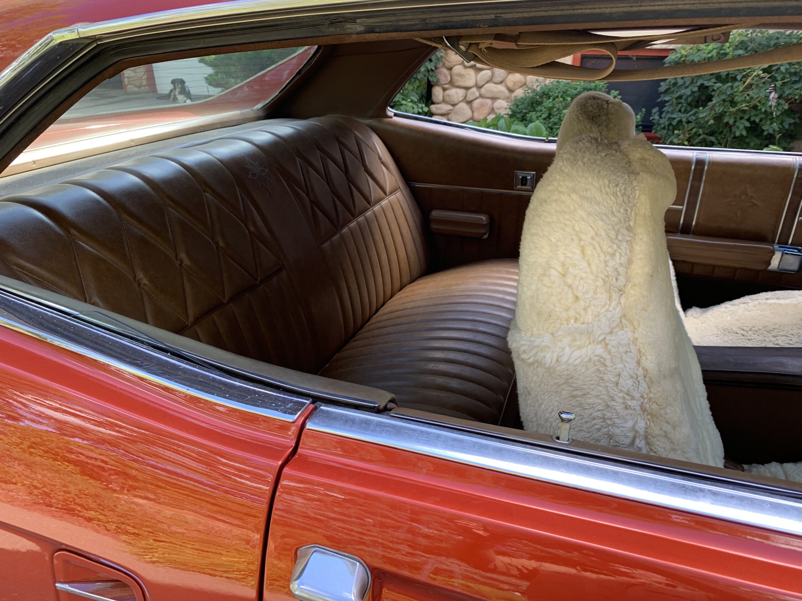 7FBD83D6-4A25-4DA5-BDC7-23FAAFF539A5