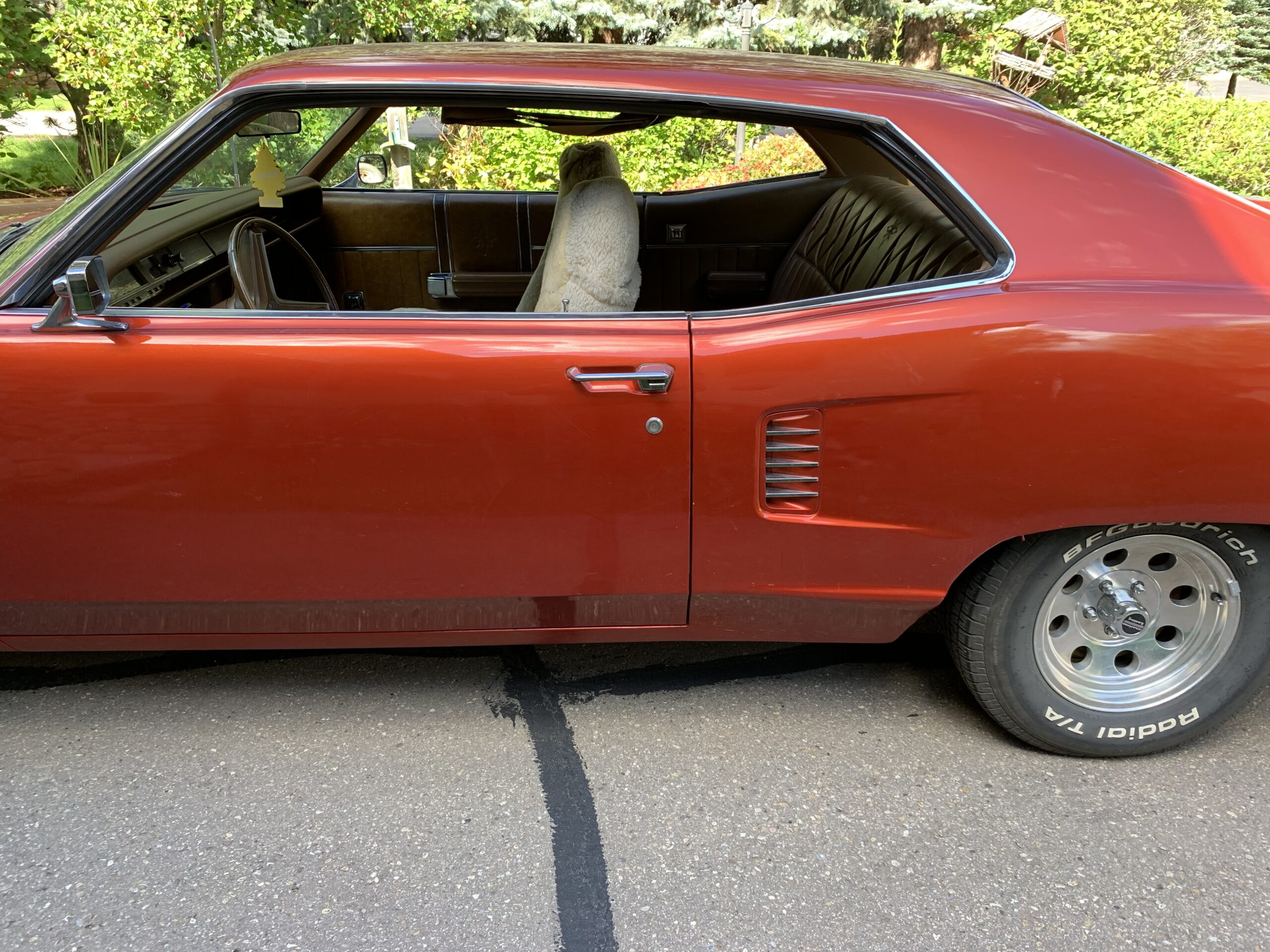 93CECA68-578E-4C96-BEEF-6CF076682EF9