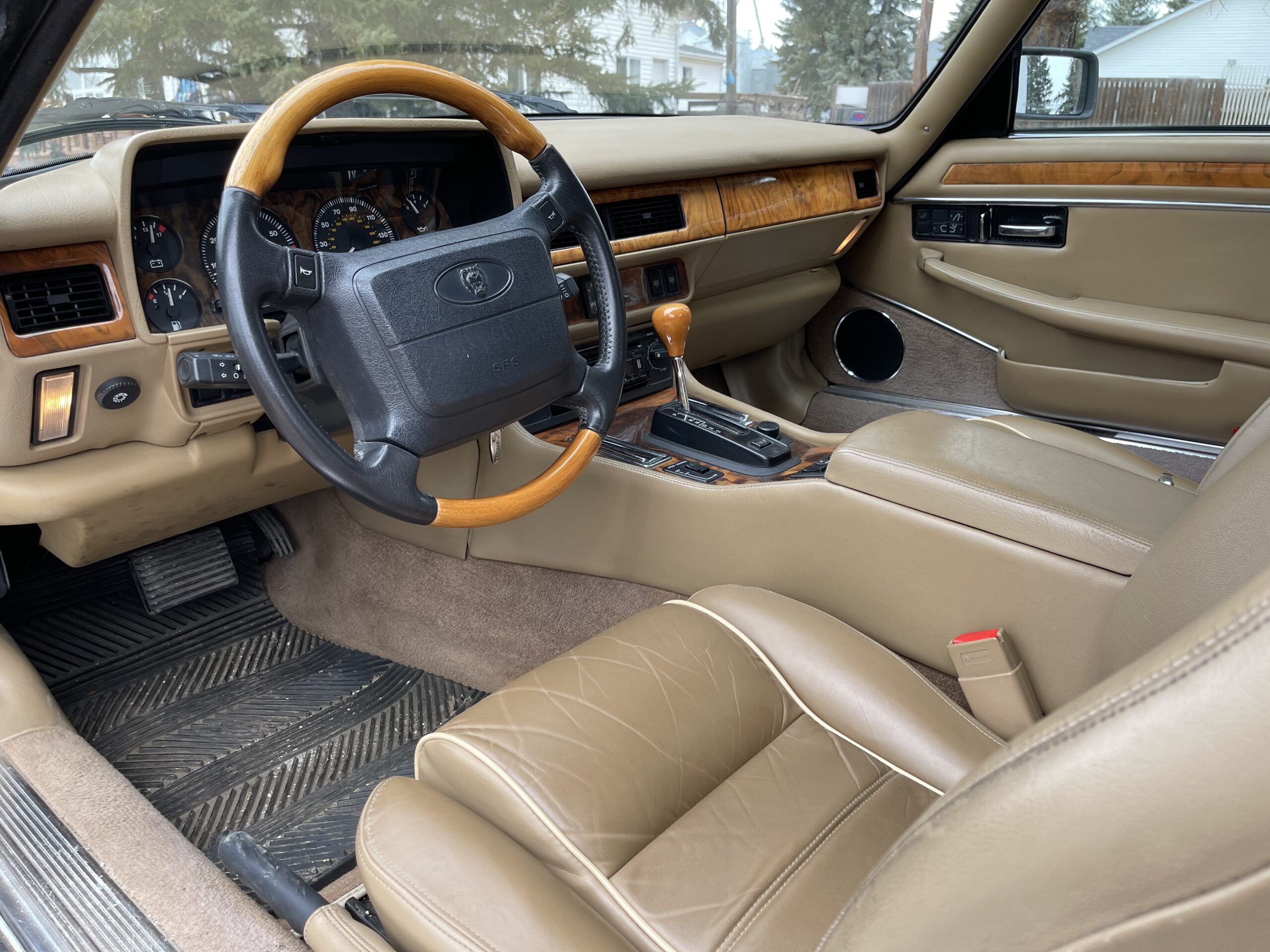 CrccWvxUTH2ANGRRZ1vlzg