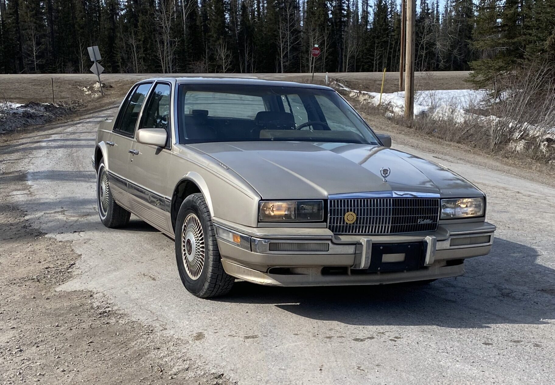 D8476EF7-86D5-4498-9F16-4DCEED2AD626