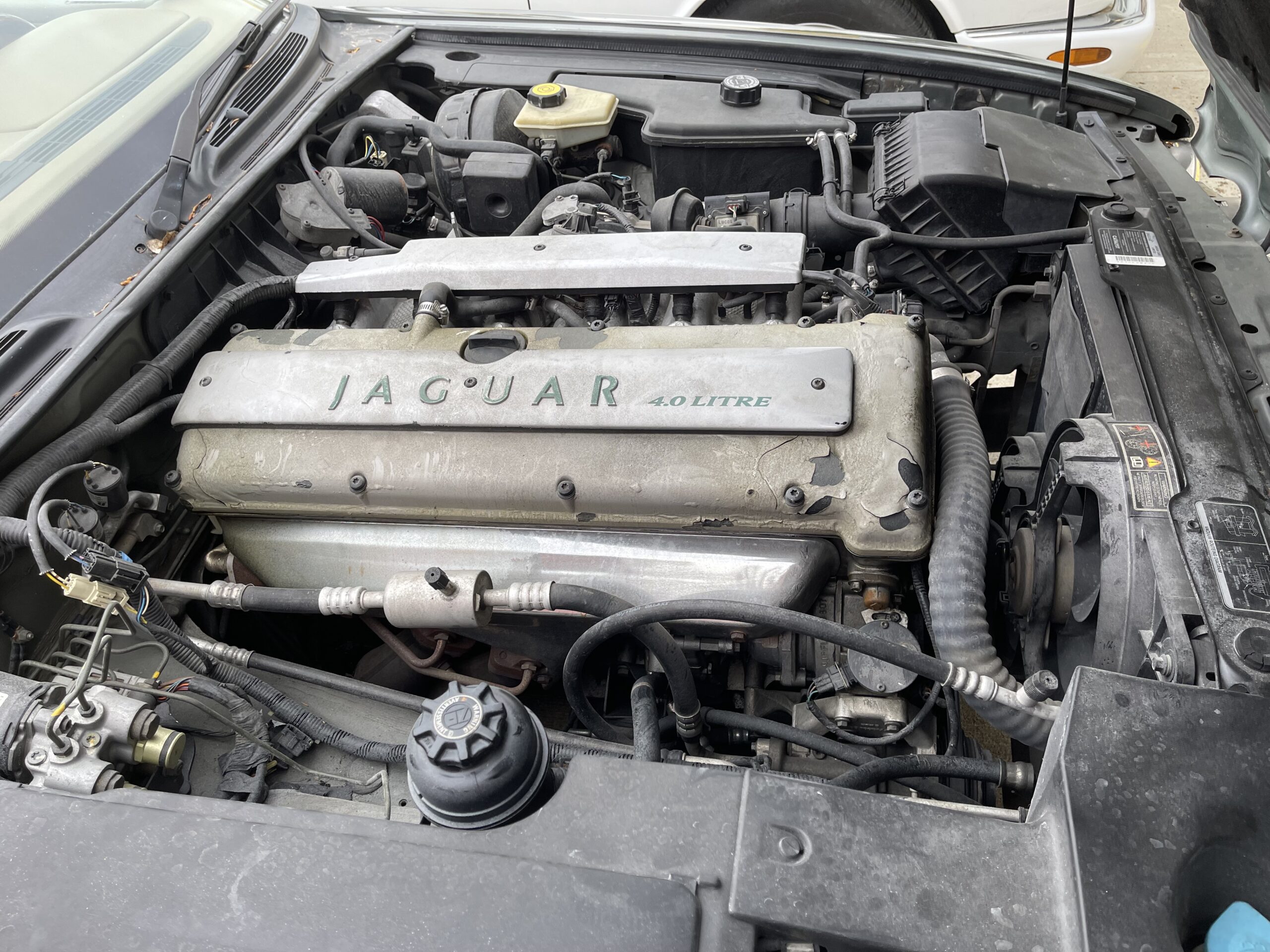 Pg5L6r2RW2zaPaOXotmRw