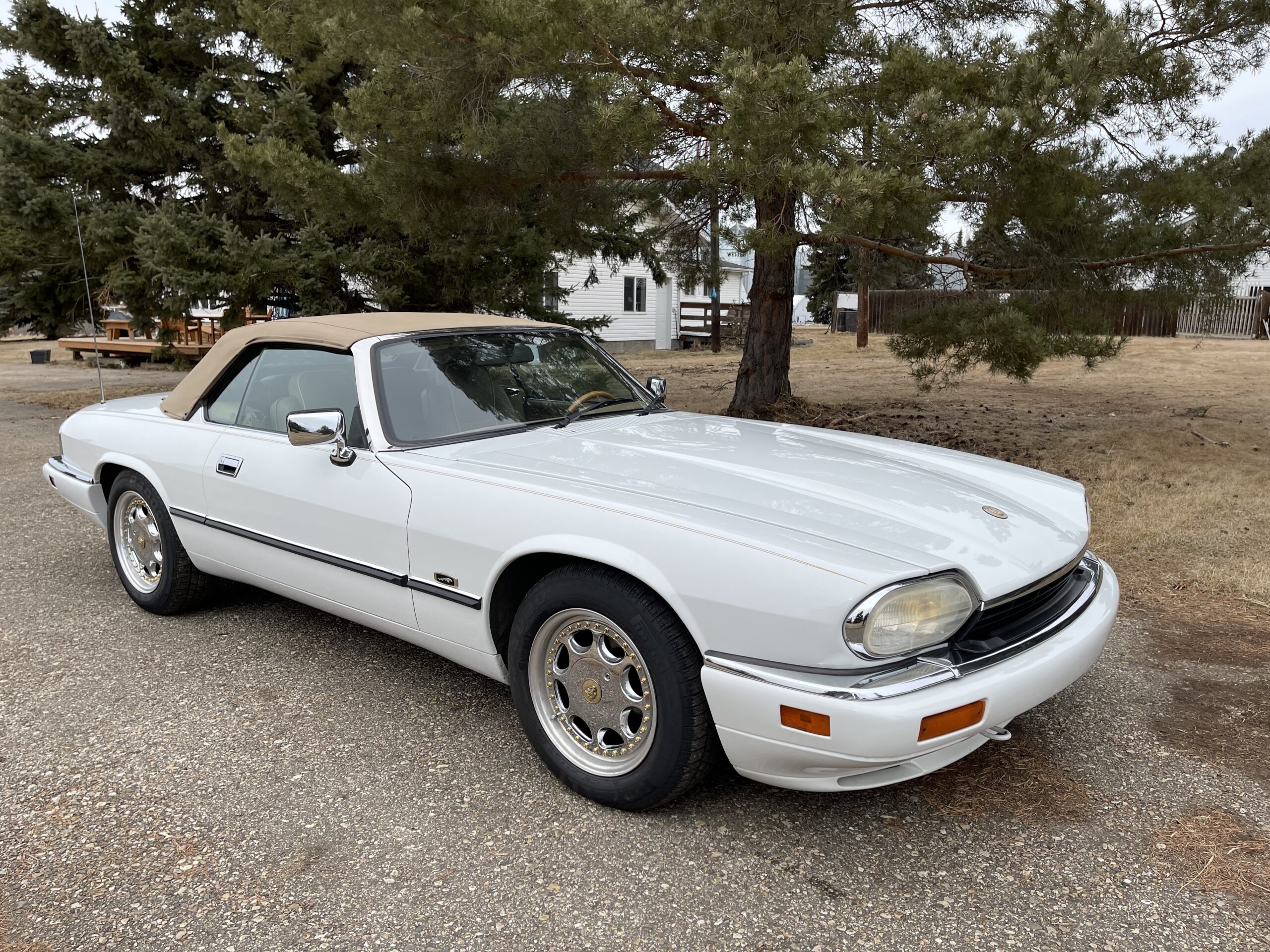 VmBvAeuoRUCh90Ol0eP3jg