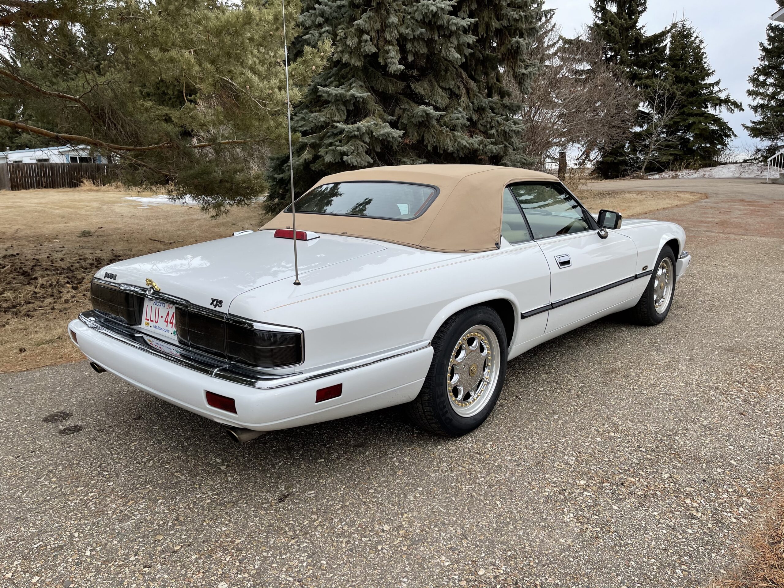 m3YcQzu0SpGlIF54Ah8WSg