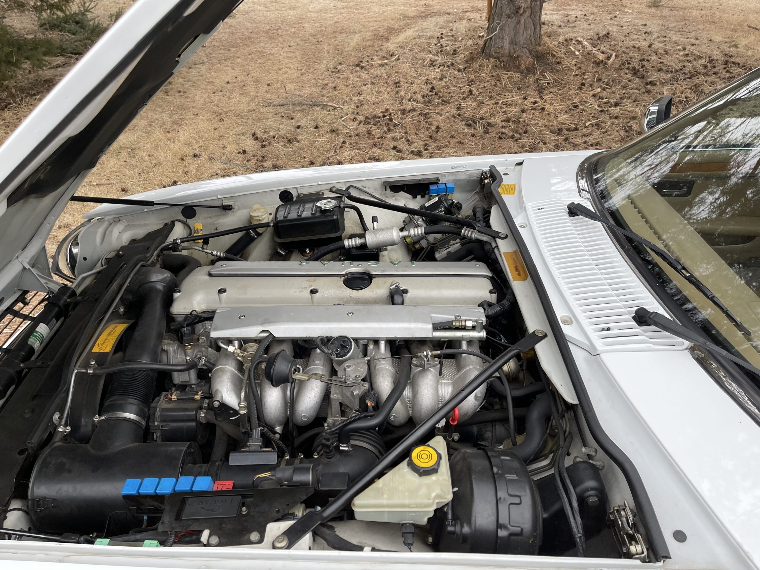 uDnDgbRIQOSnOi5TLvXxg