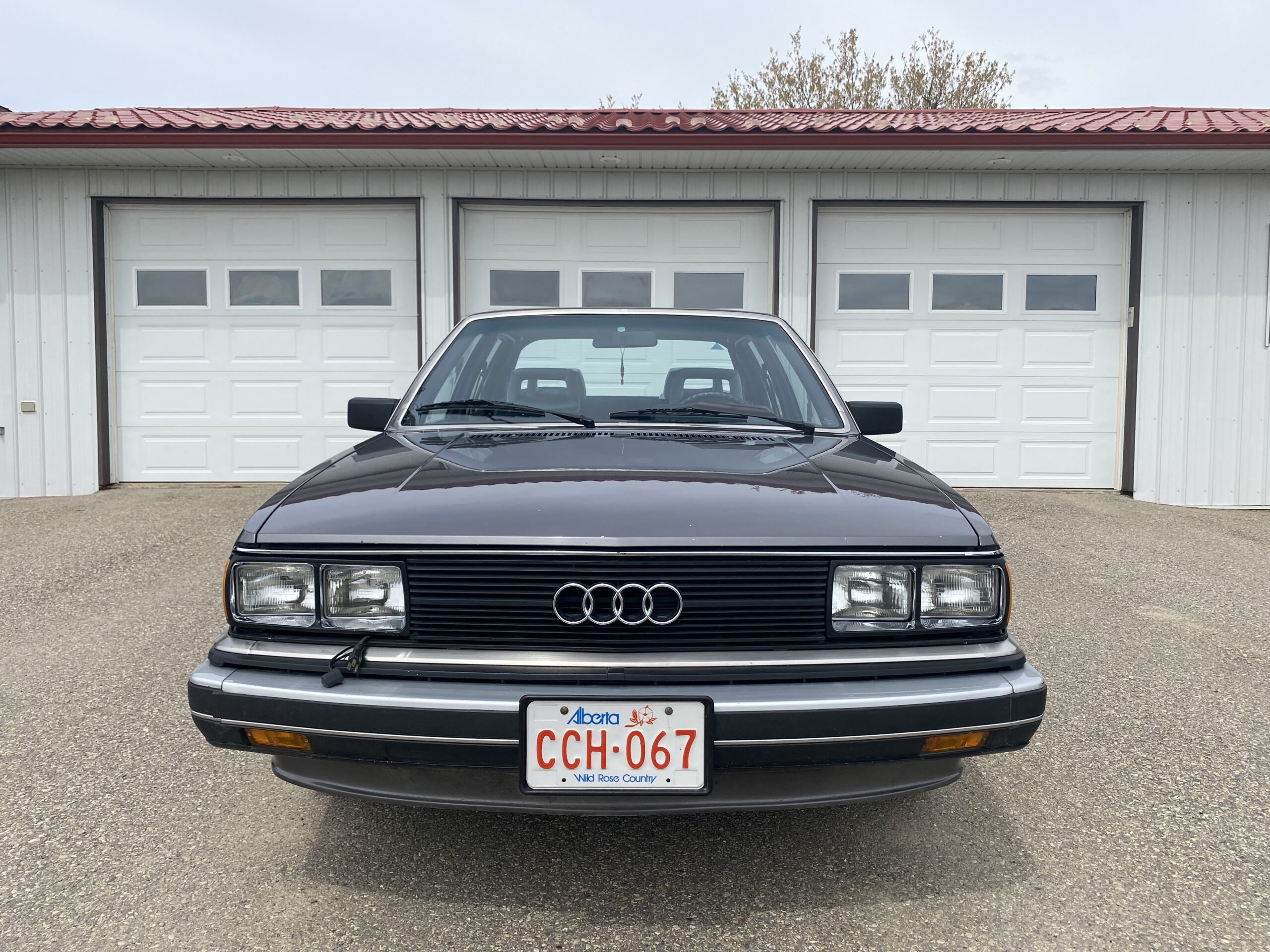 1154C729-0F5E-4D36-85E5-862CD056F3A3