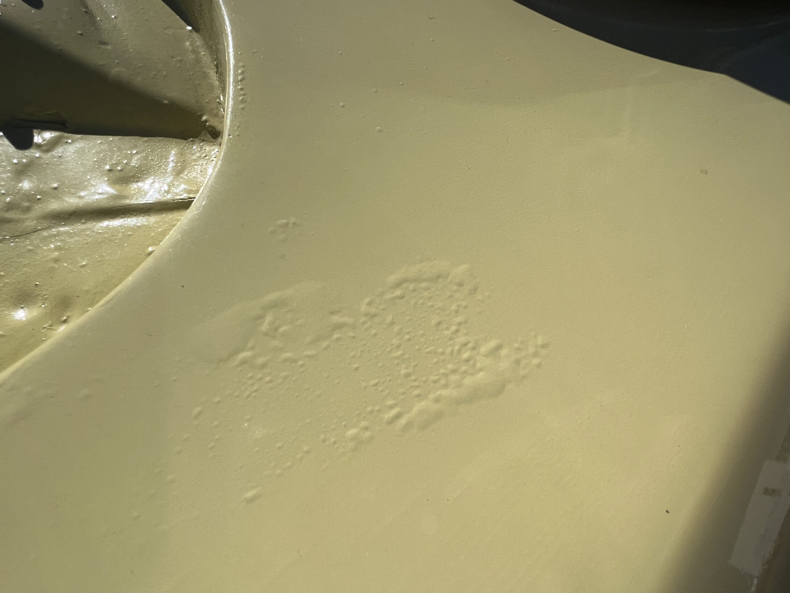 1F905EF3-D4A5-4447-8F90-C75E64CEEFA6