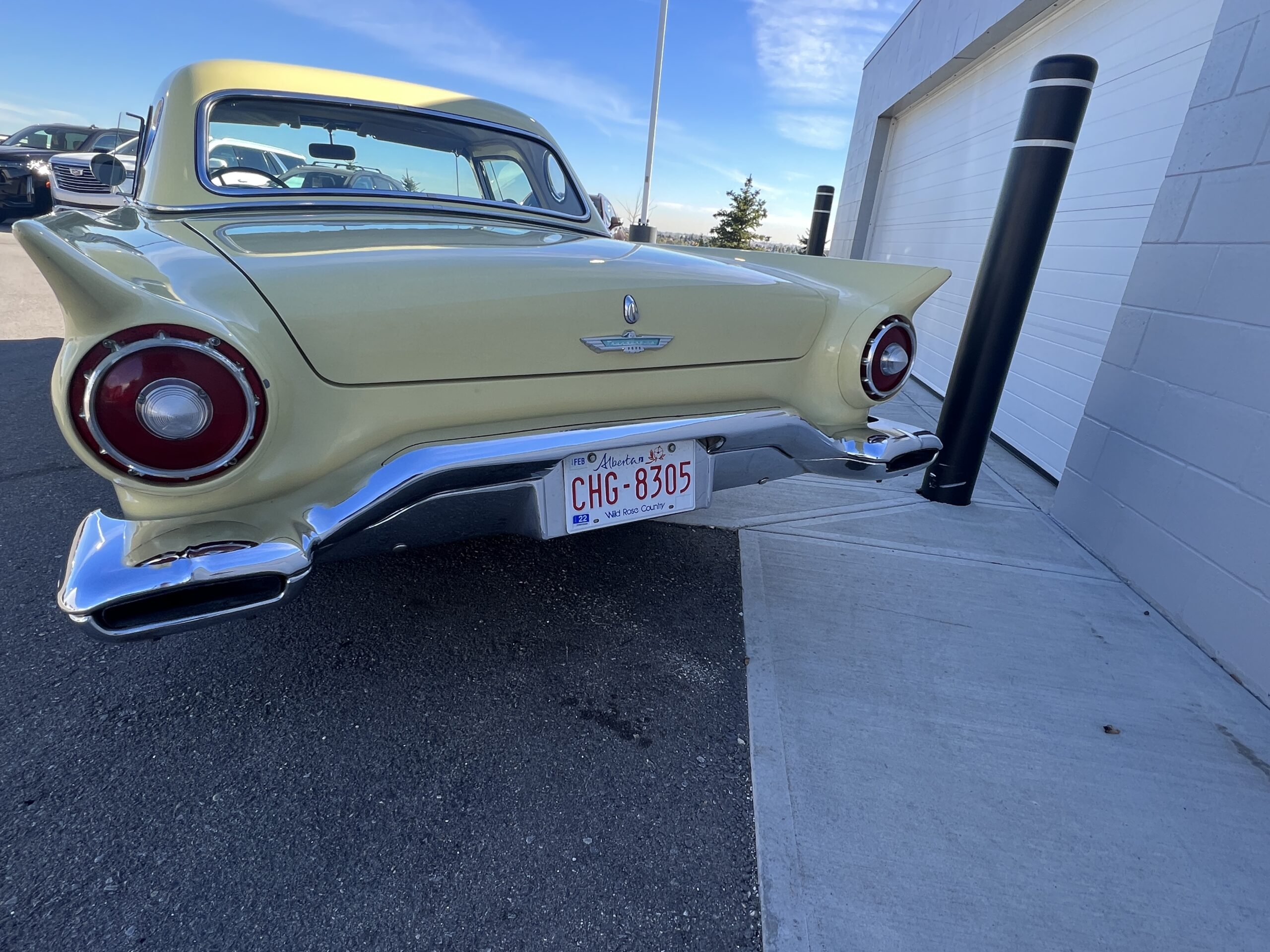 37F7416B-CFAA-46F3-8DE1-E7CD4F5BBDC1