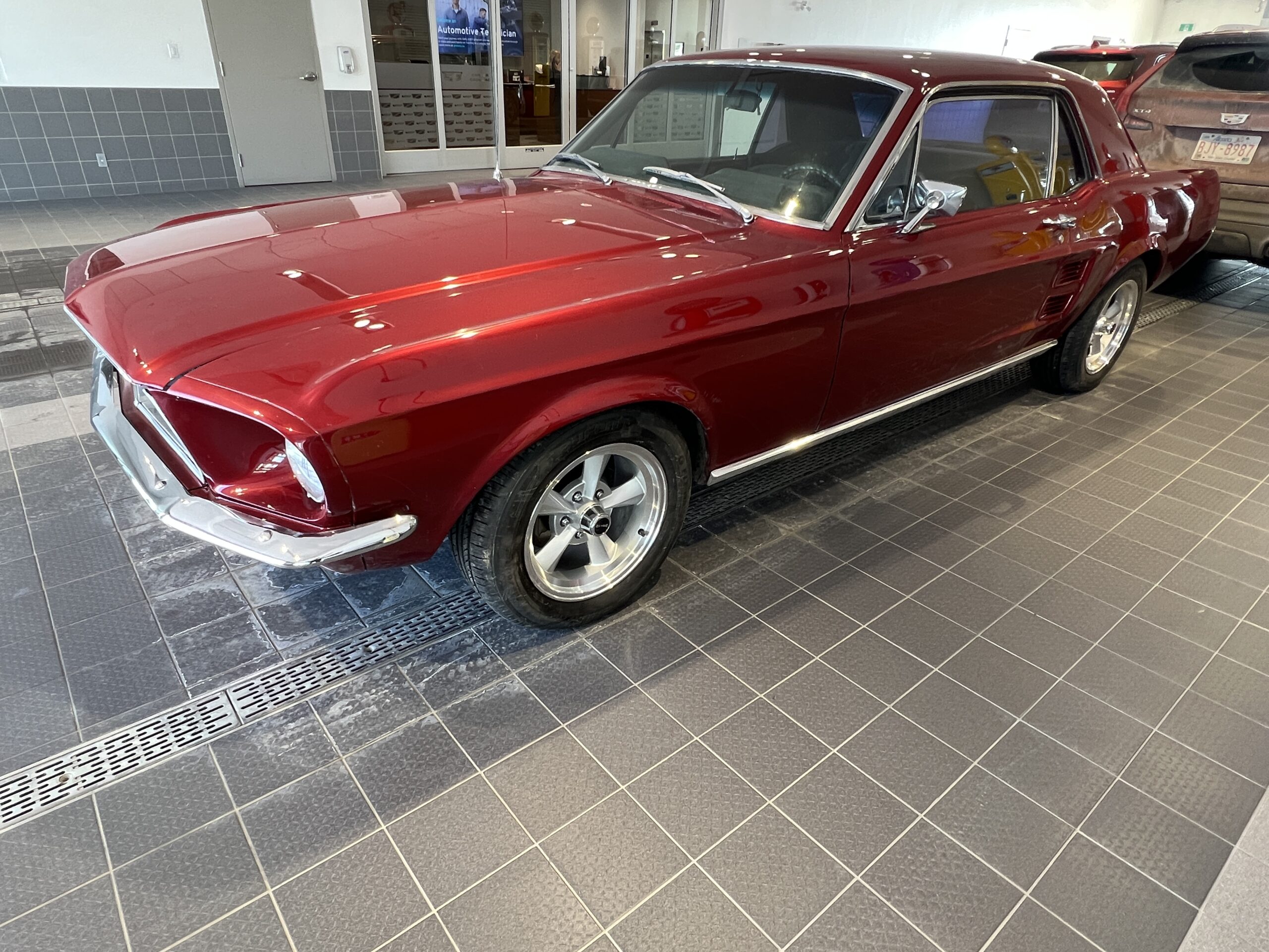 9CB86C89-8B4B-4B40-9EC0-4C2AA1E55F9F