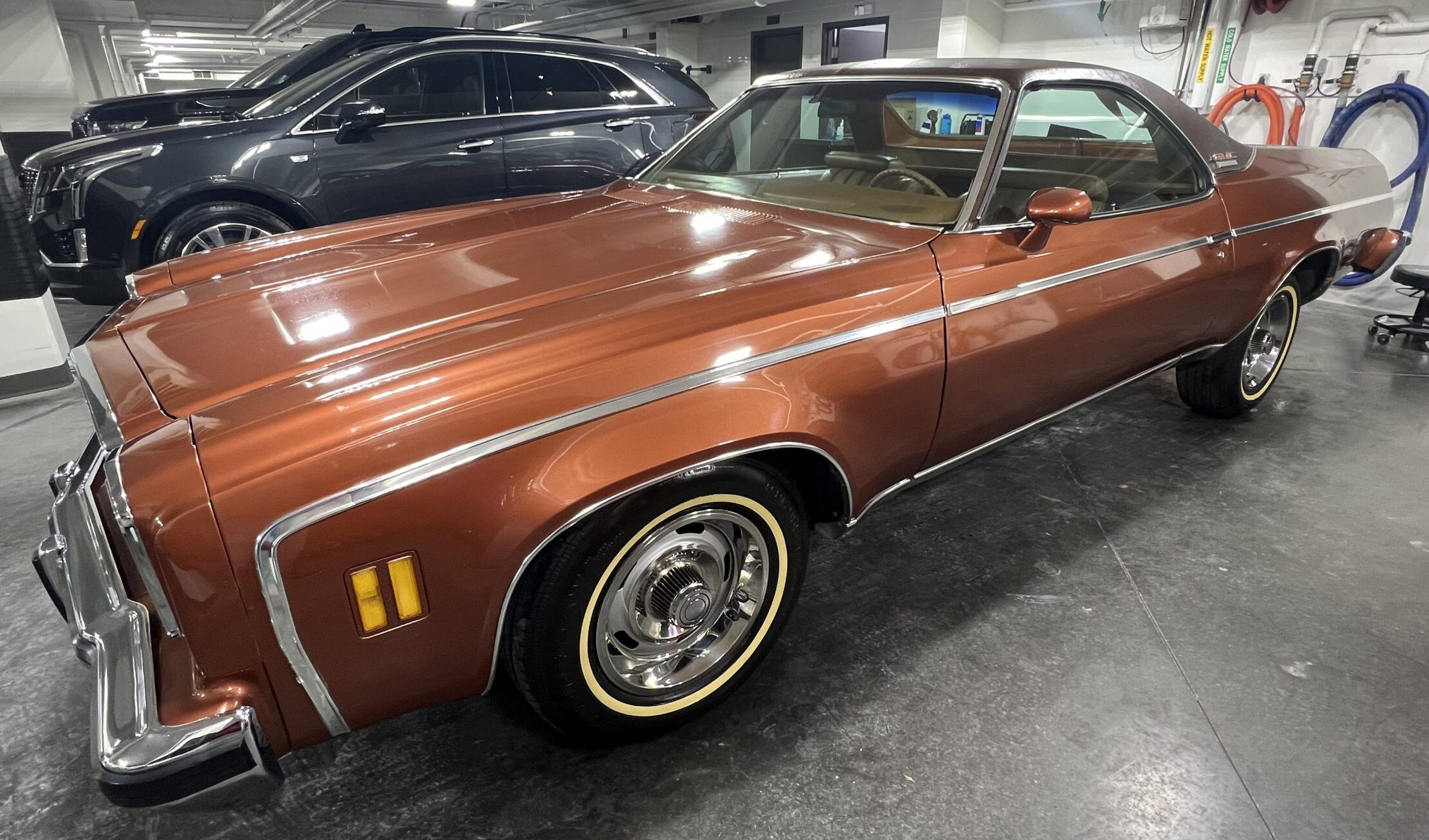 DAA82766-DB67-4BAC-9AB5-CBDE5A0DE01D