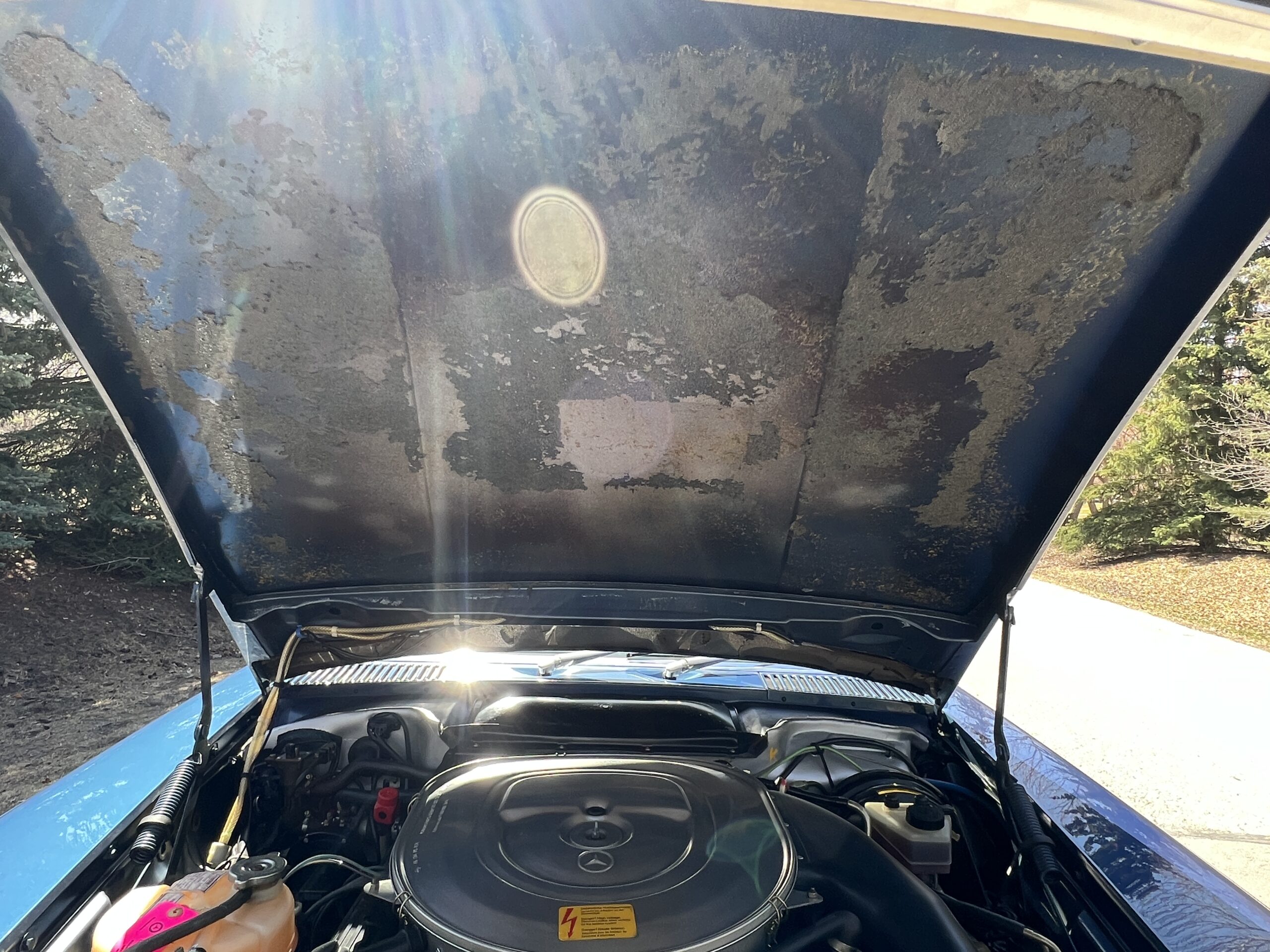 0513AB7B-2C35-4D0E-9FA8-85F052F1F8B7