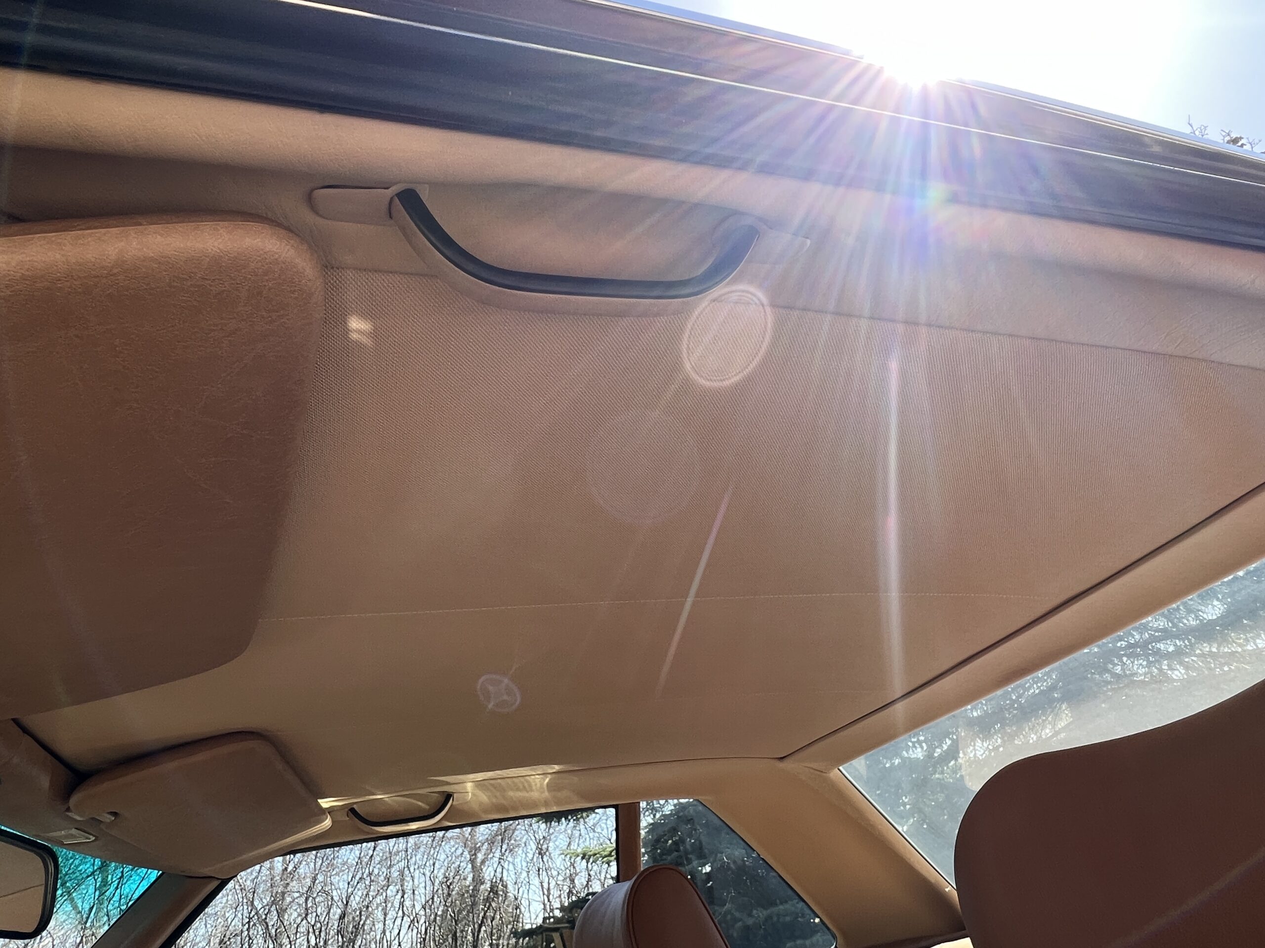 BB23980B-FE95-46D1-89D3-8AE89C6D5D6E