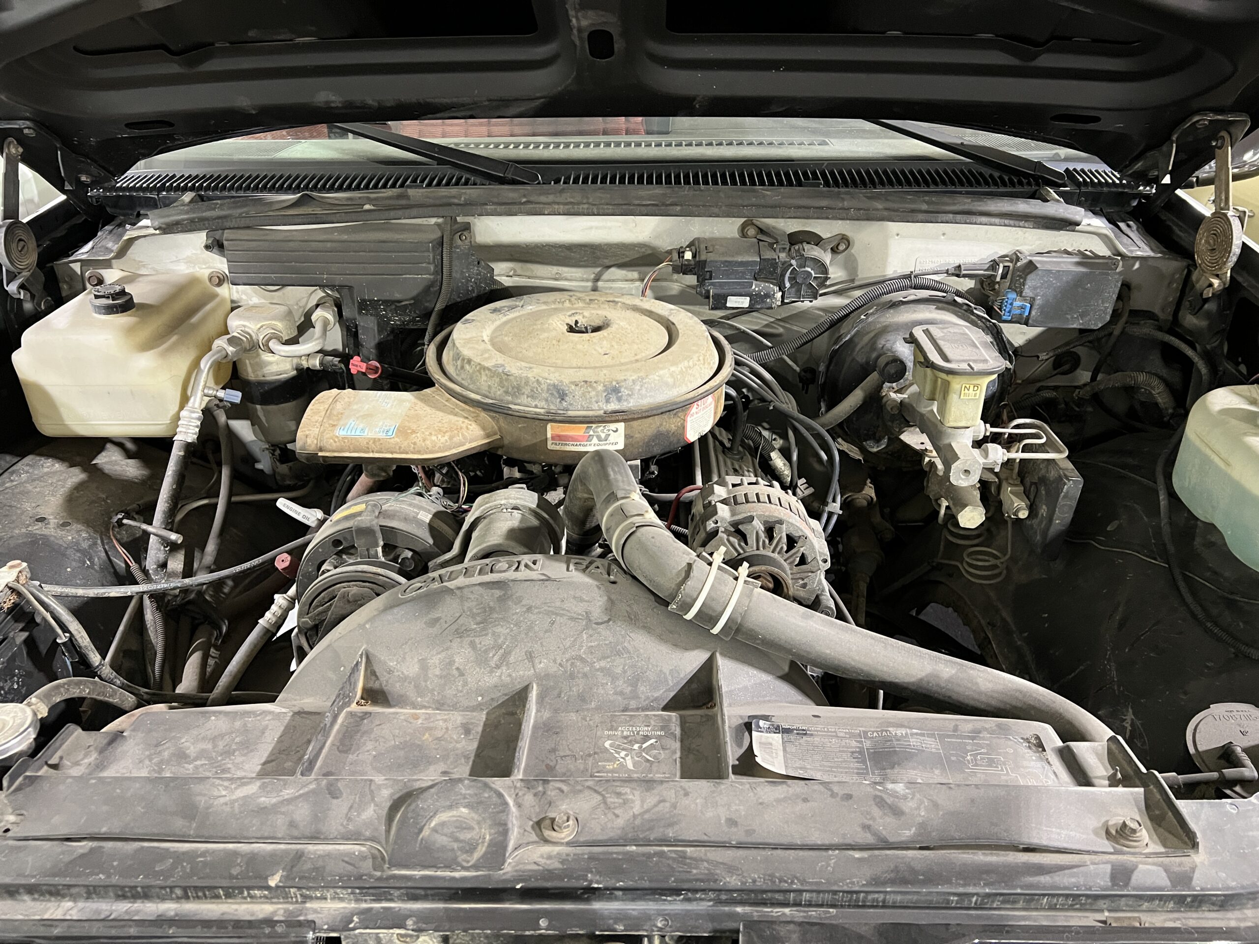 C364FCBE-4E37-42B2-B26E-88B0540E43C7