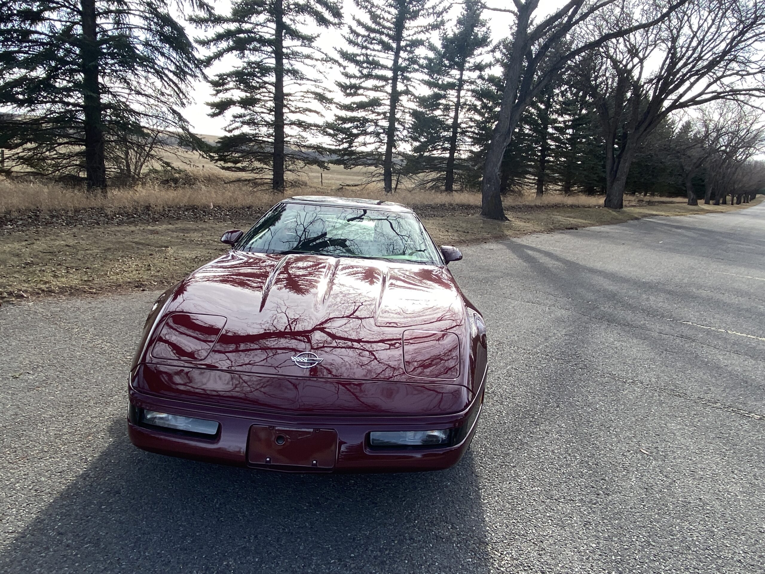 CDE90444-A584-4EC5-93C2-05DE9C286606