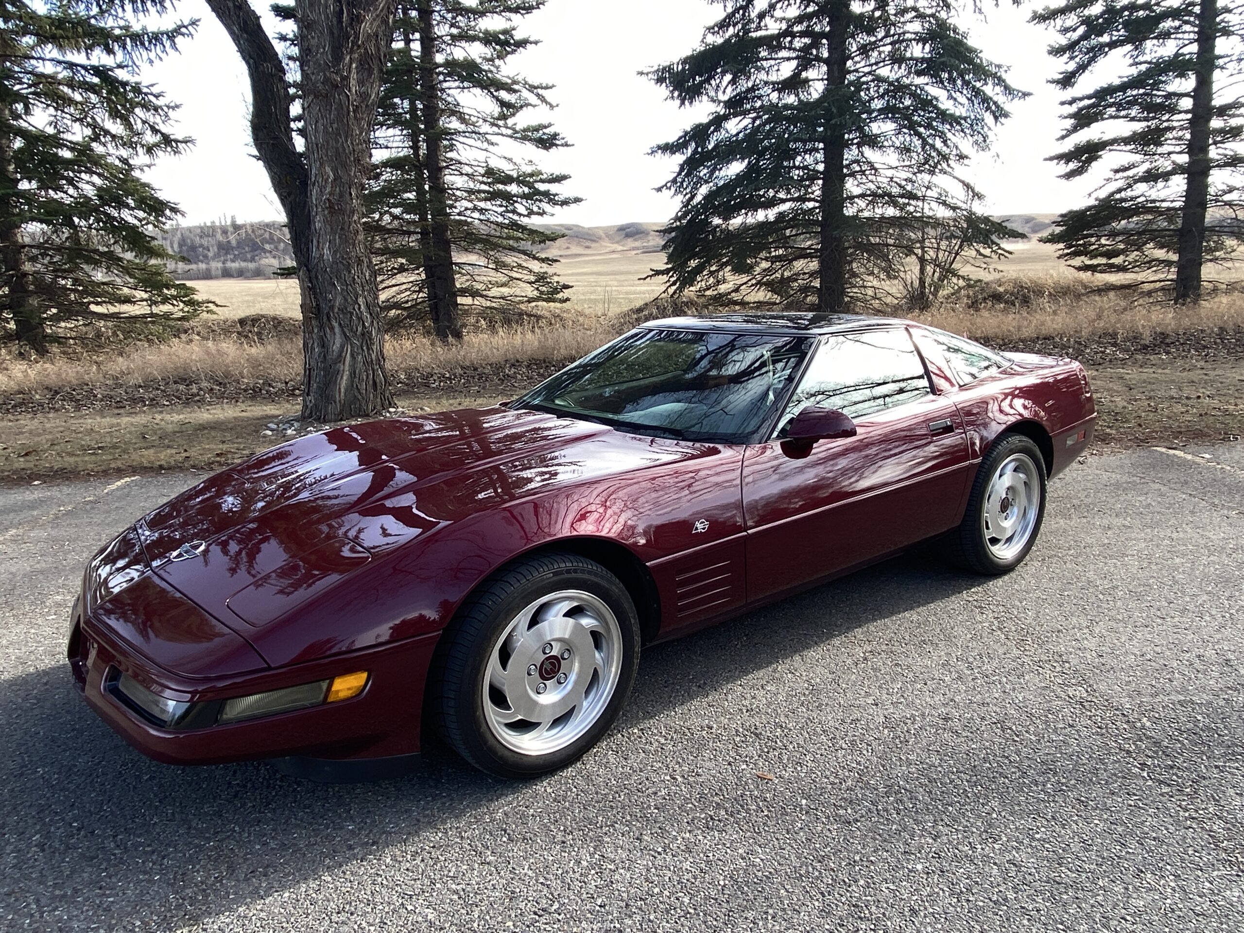 FF6C5D70-3D8C-4808-8B24-30F7338C34EB