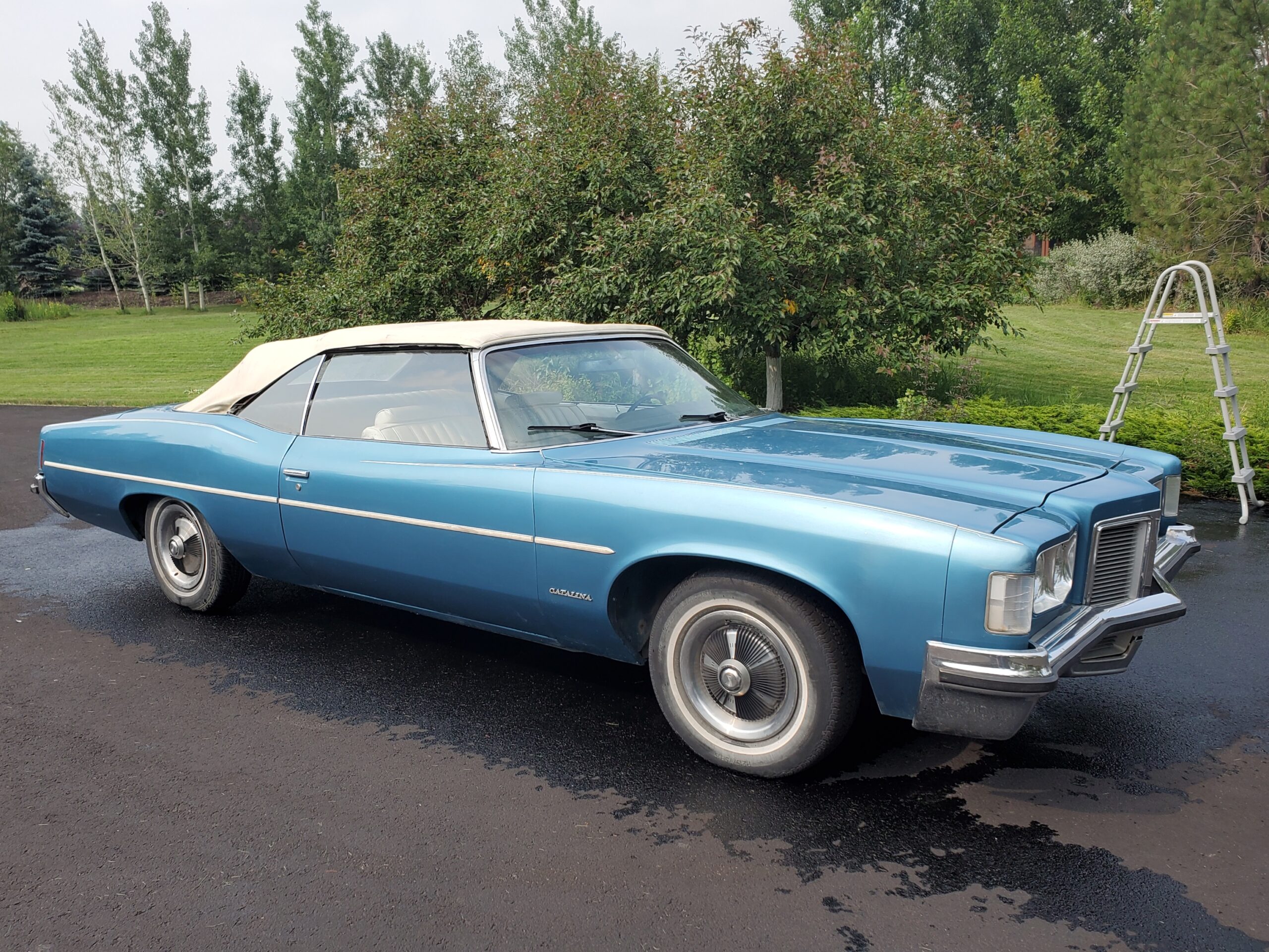 20210719_165419_resized_1