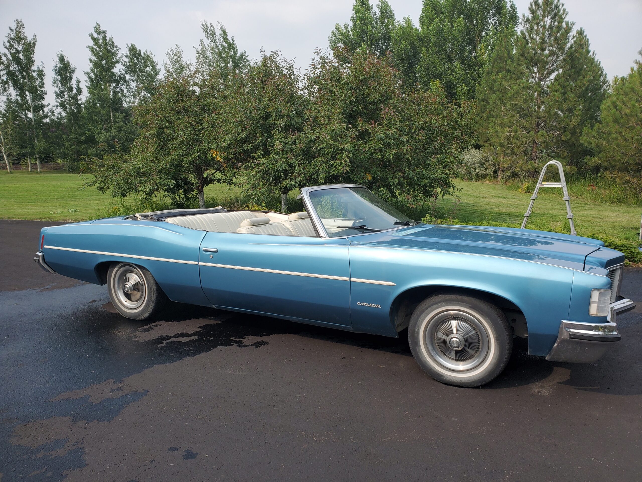 20210719_171611_resized_1-Copy